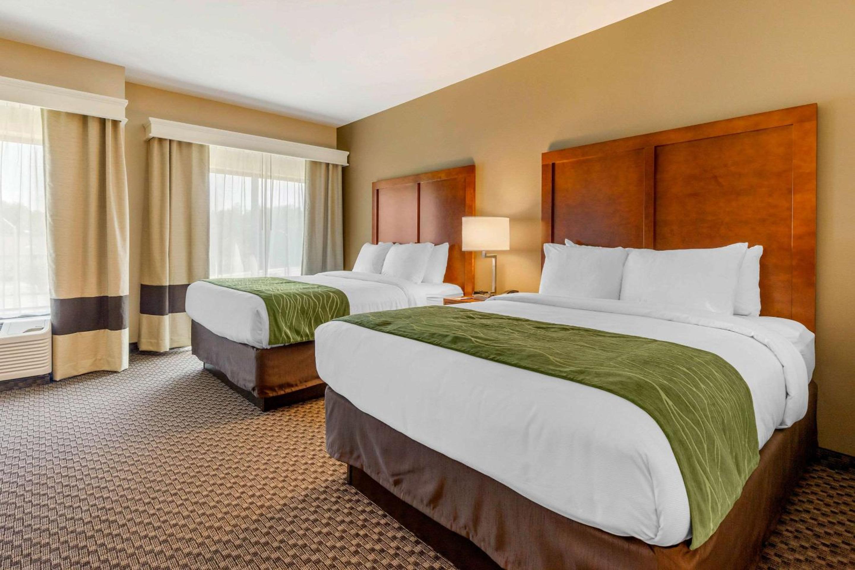 Queen Room with Two Queen Beds - Accessible/Non-Smoking  - Photo 4