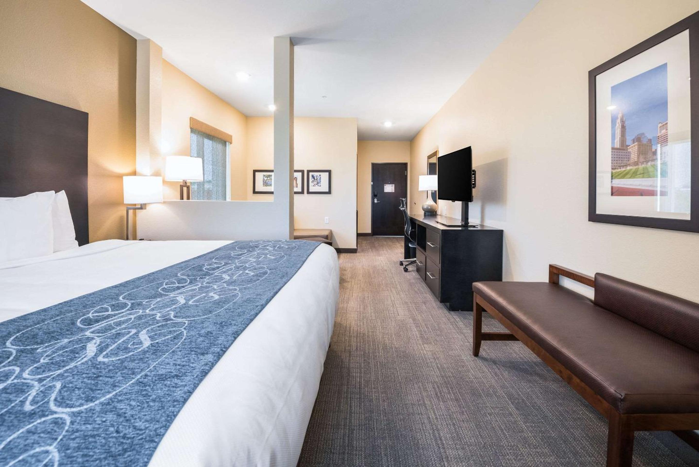 King Suite with Sofa Bed - Non-Smoking - Photo 10