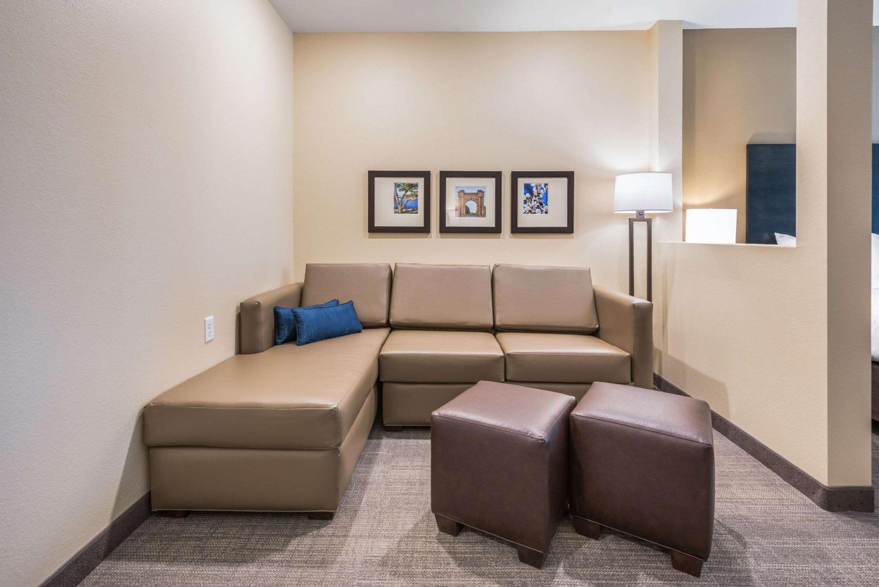 King Suite with Sofa Bed - Non-Smoking - Photo 9