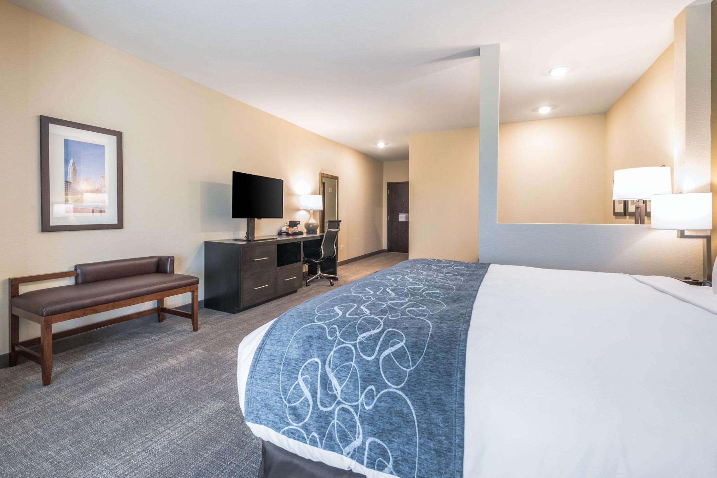 King Suite with Sofa Bed - Non-Smoking - Photo 3