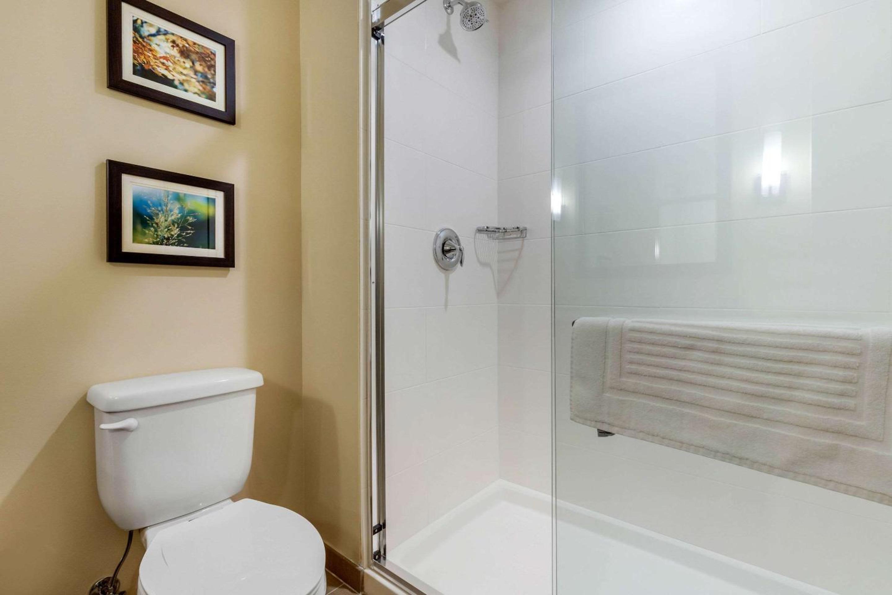King Room - Non-Smoking - Photo 5