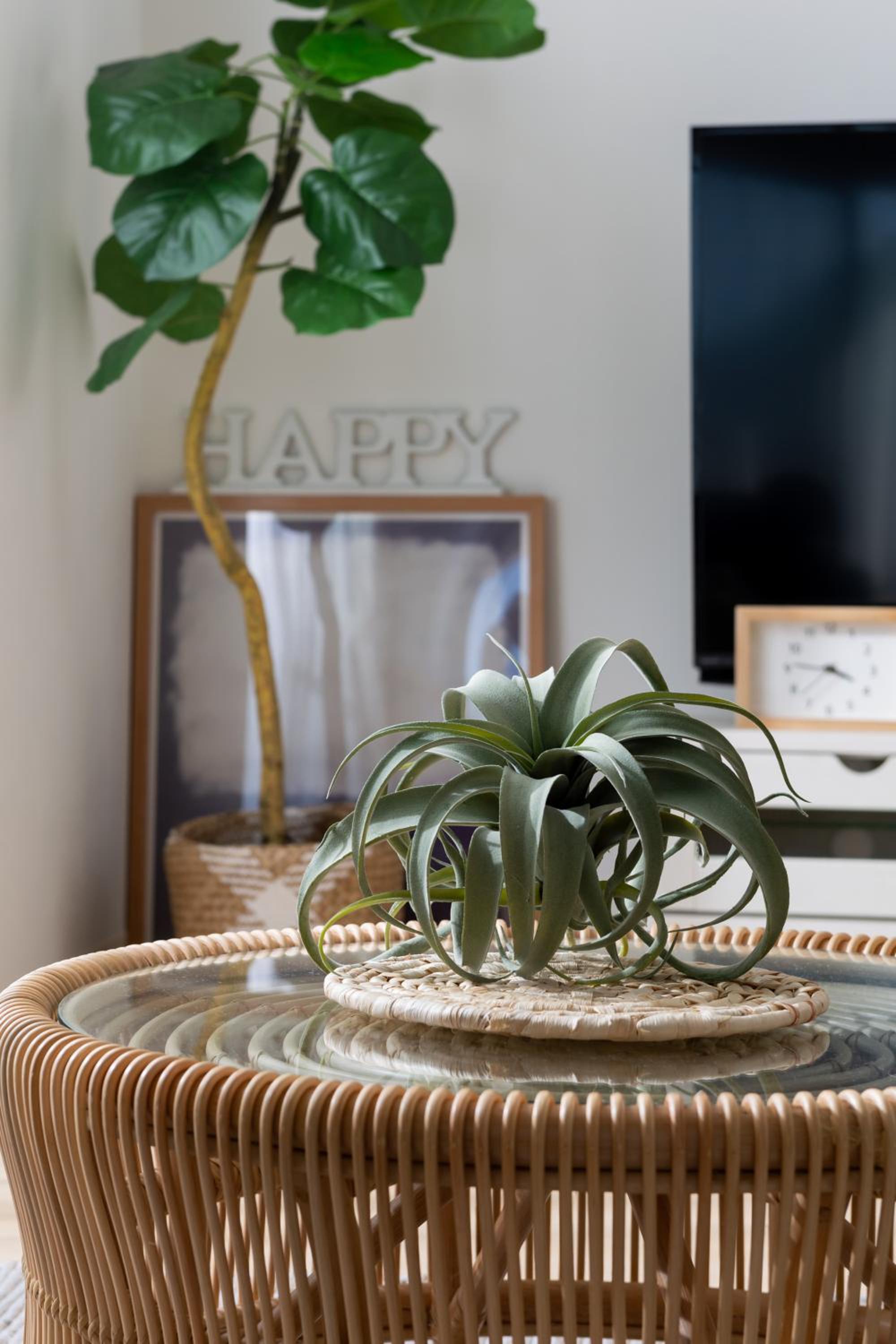 Two-Bedroom Apartment - Small Dog Friendly - Photo 47