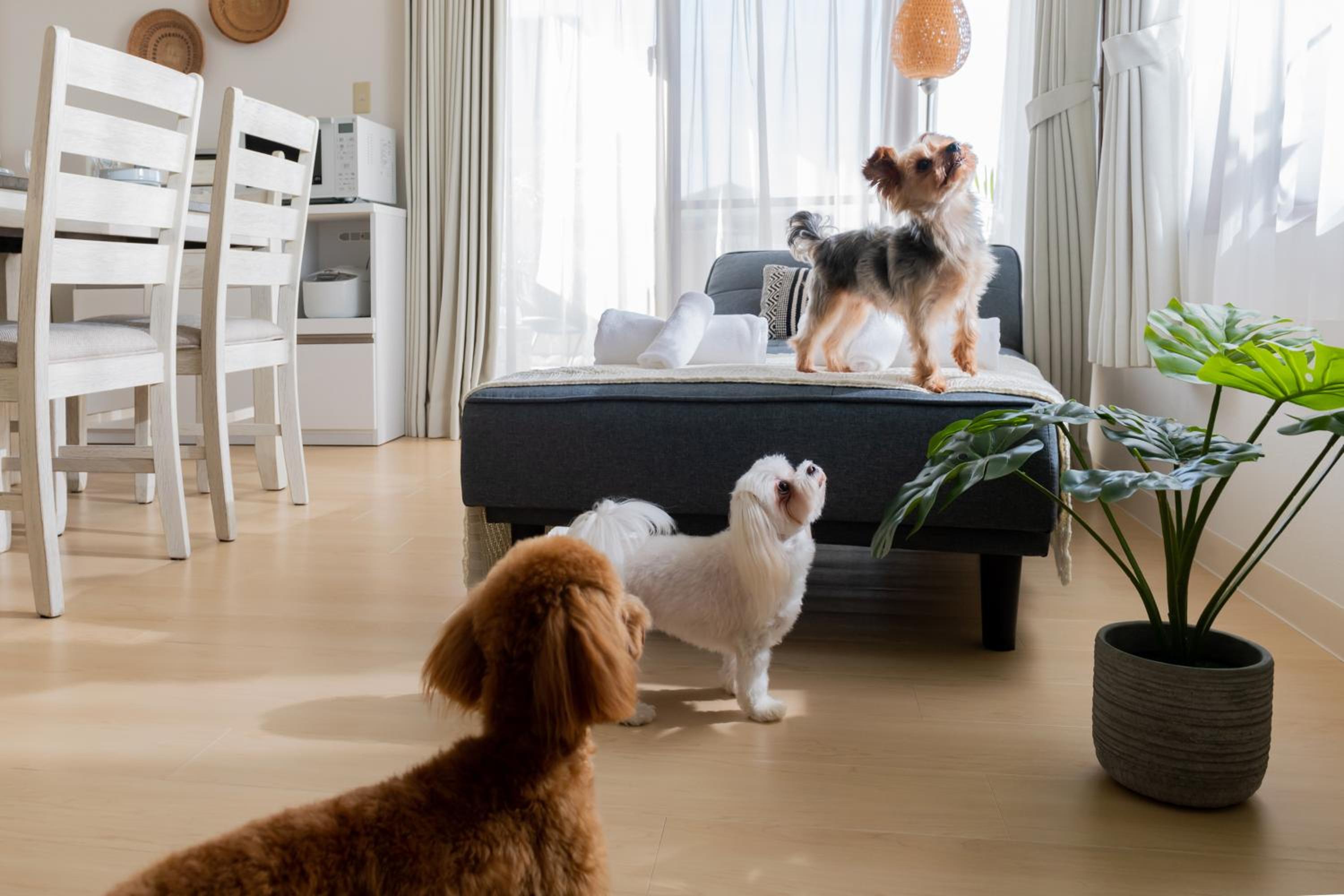 Two-Bedroom Apartment - Small Dog Friendly - Photo 73