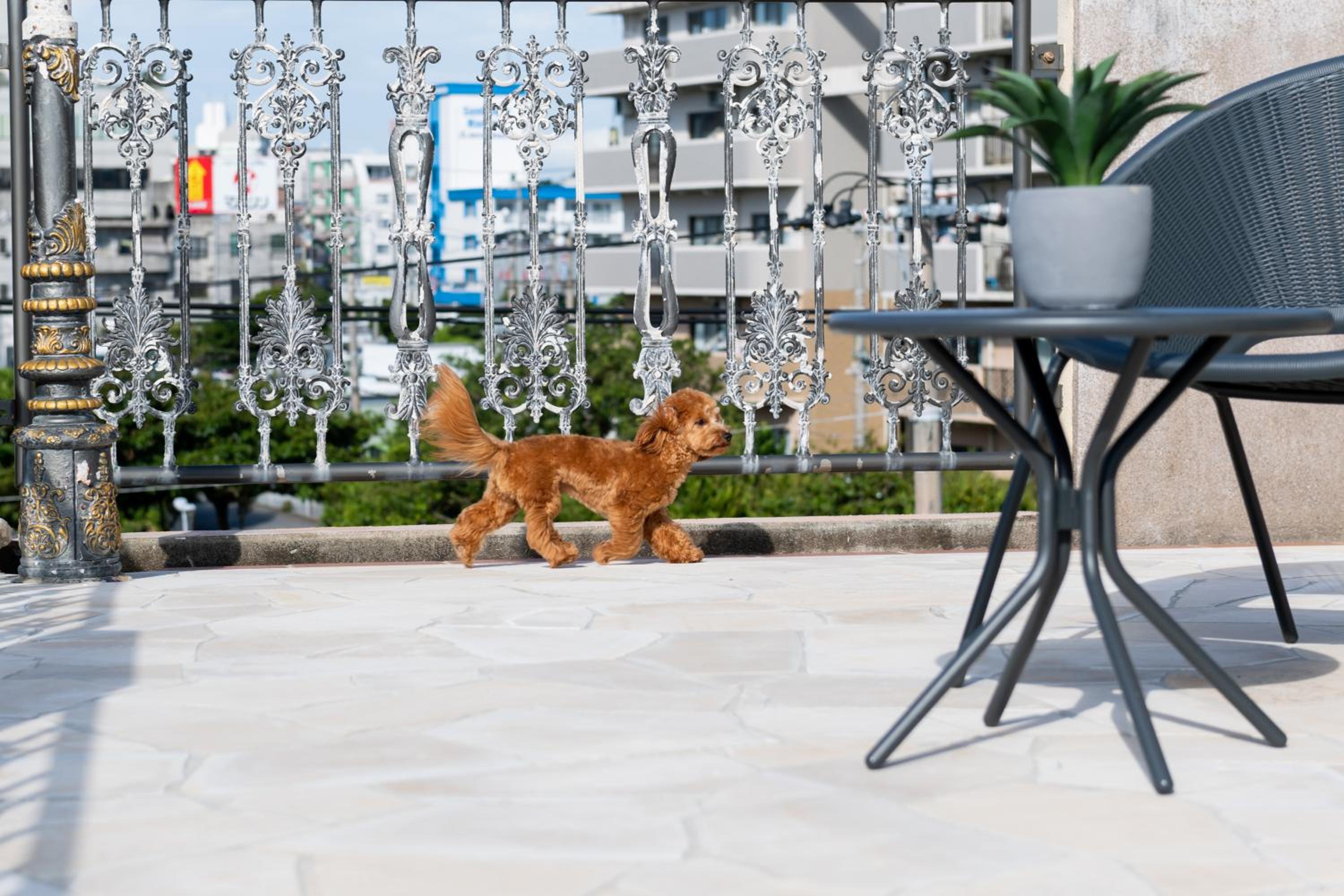 Two-Bedroom Apartment - Small Dog Friendly - Photo 74