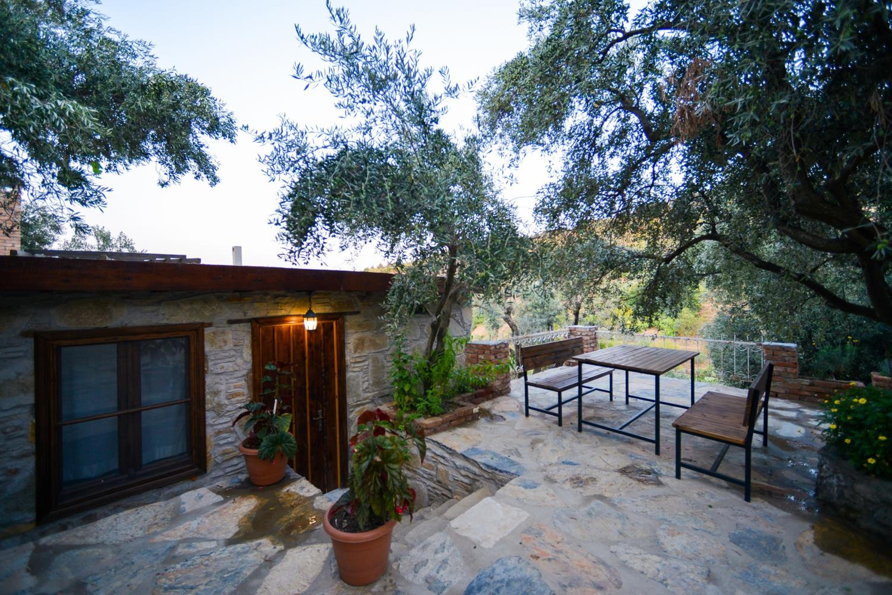 Family Room With Mountain View photo 3