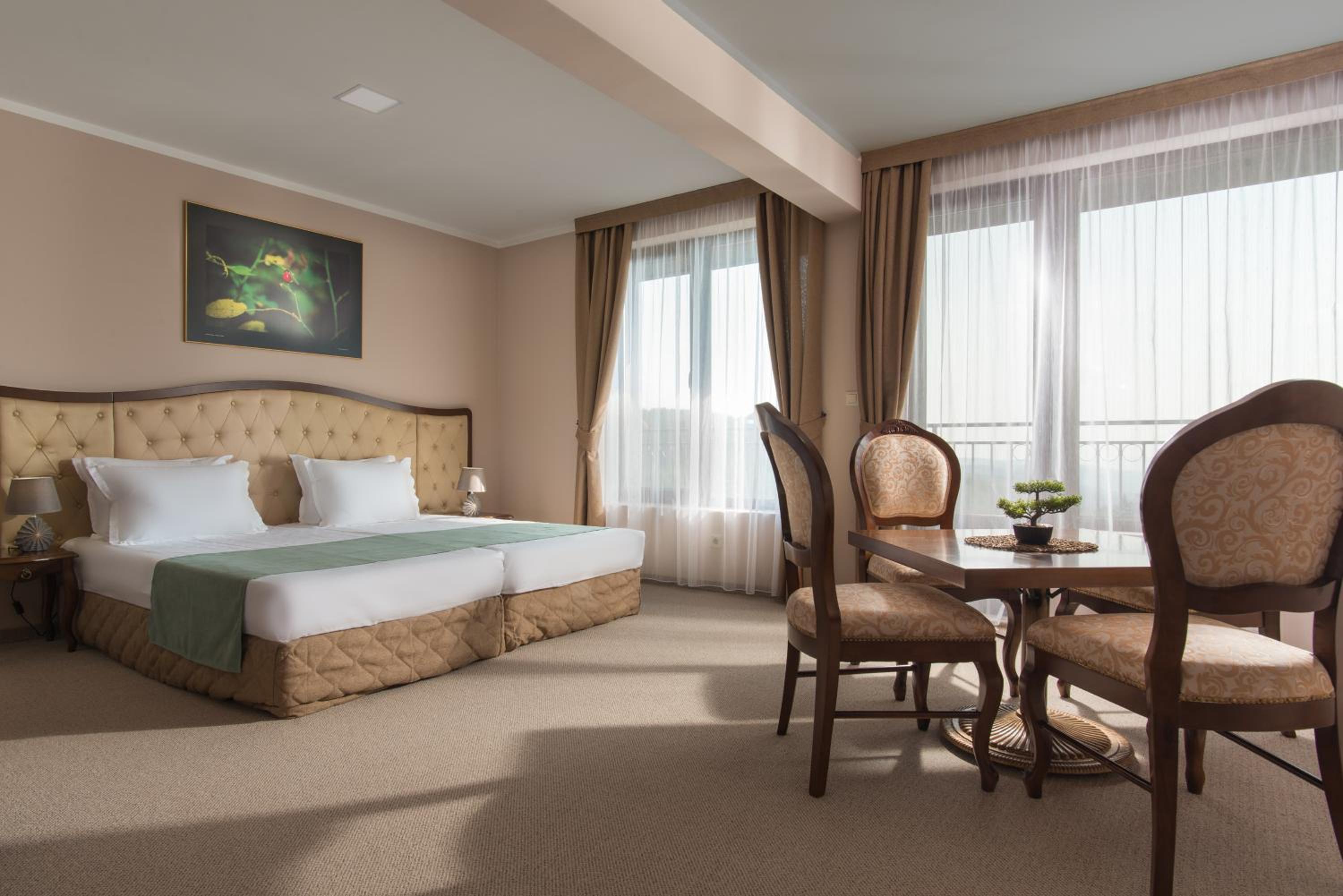 Deluxe Double or Twin Room - Photo 3