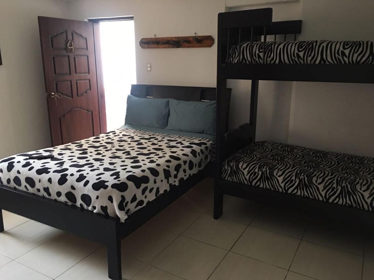 Triple Room photo 3