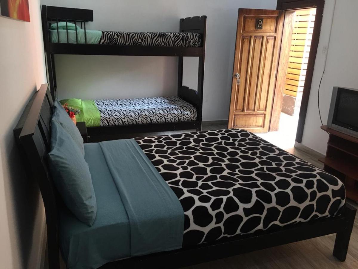 Triple Room photo 1