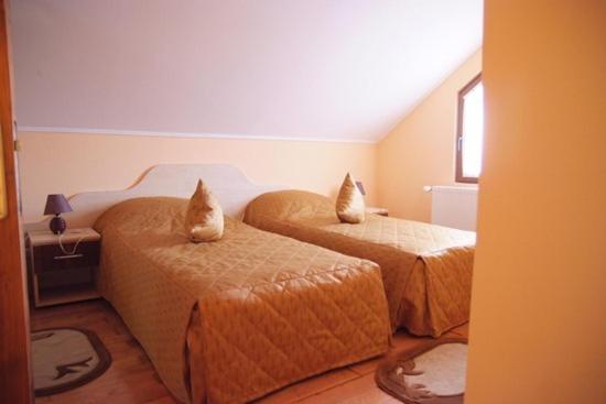 Twin Room photo 1