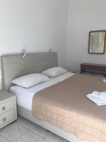 Standard Double or Twin Room photo 1
