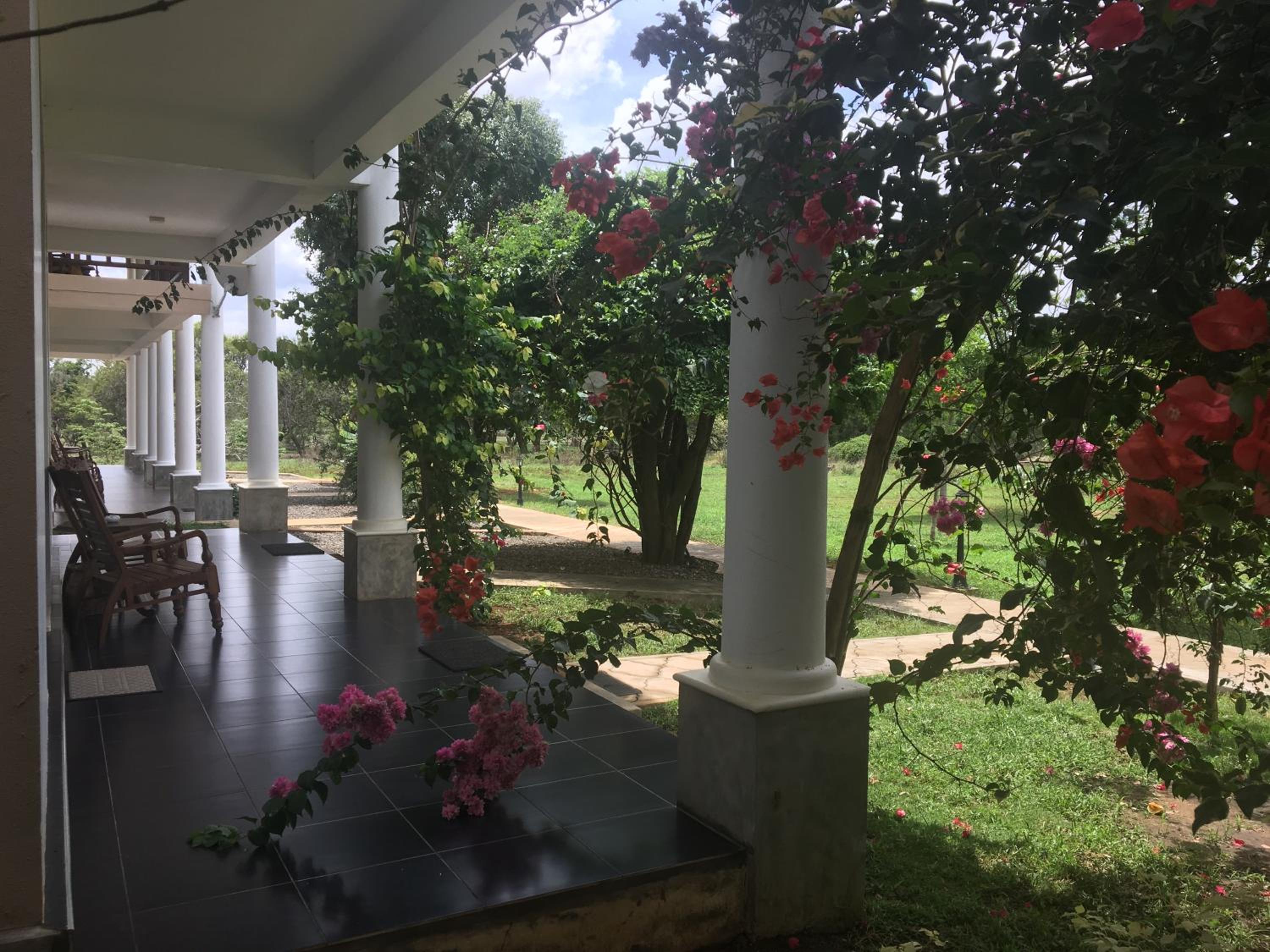 Triple Room with Balcony photo 3