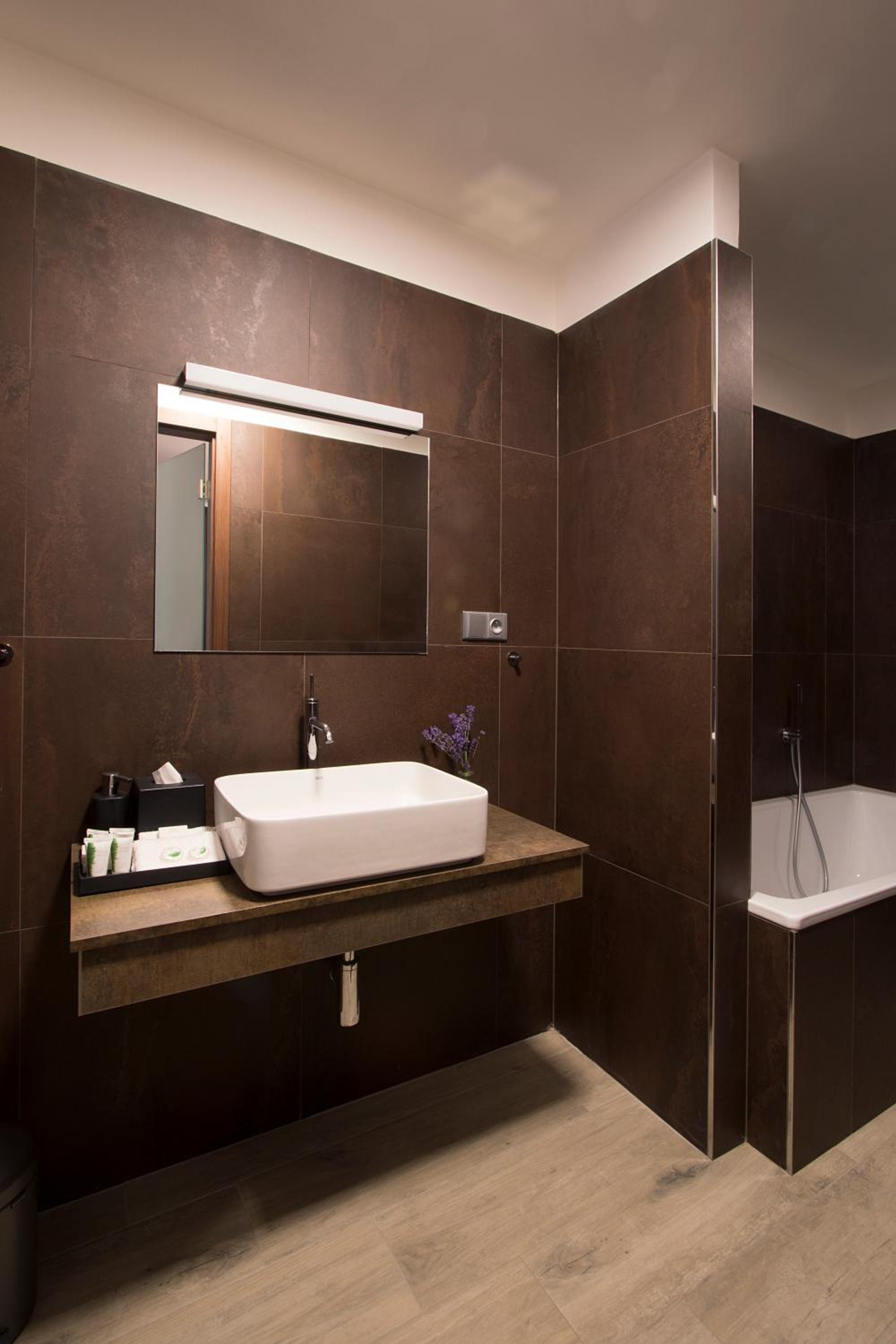 Deluxe Suite - Photo 10