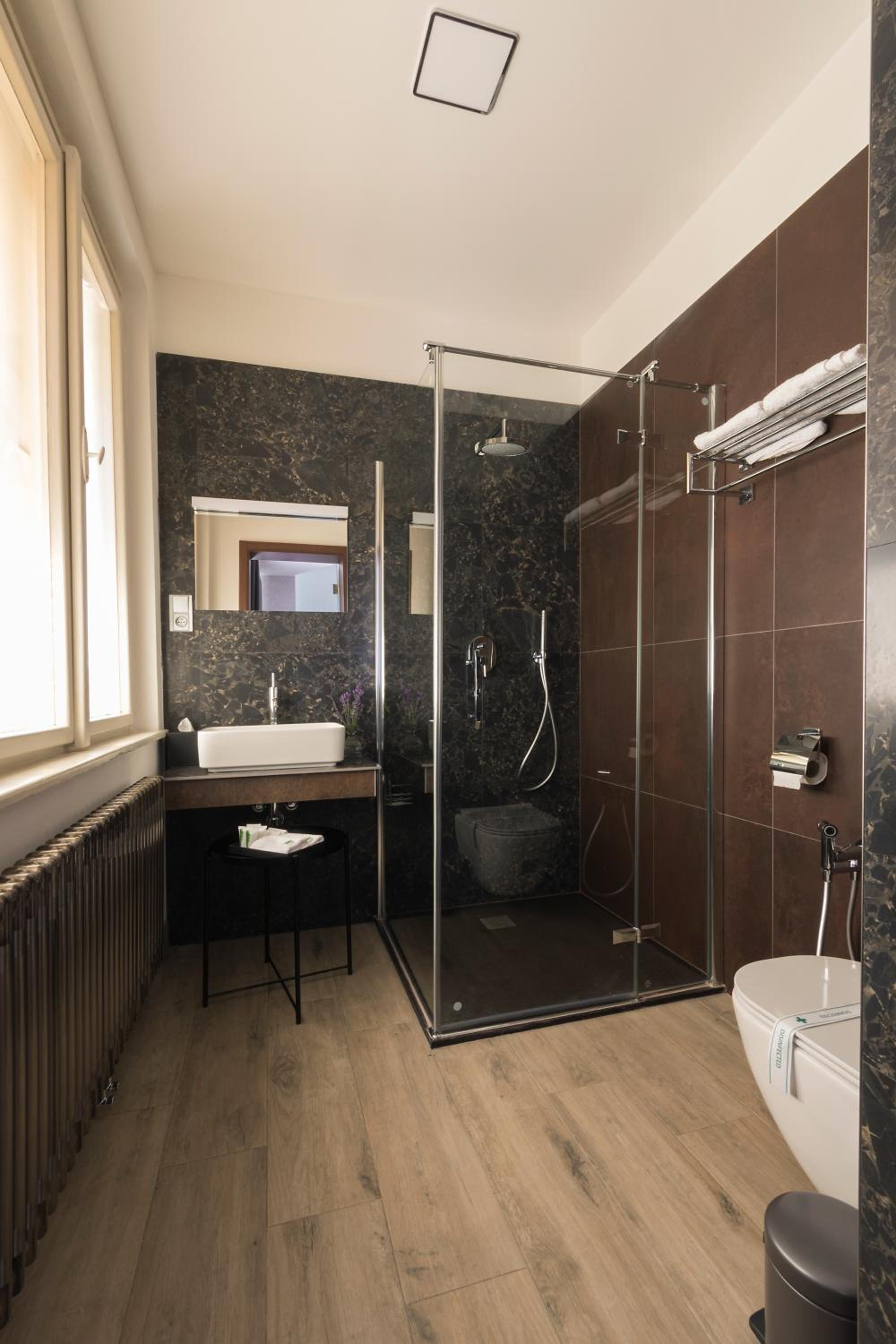 Deluxe Suite - Photo 8