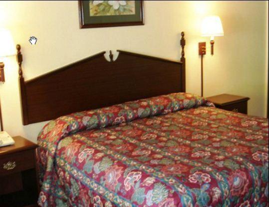 King Room - Non-Smoking - Photo 2