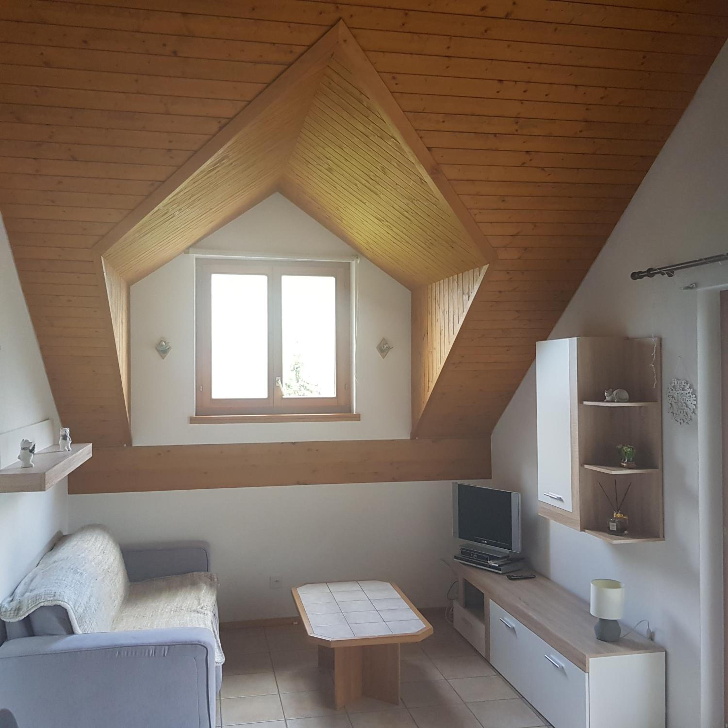 Penthouse Apartment photo 3