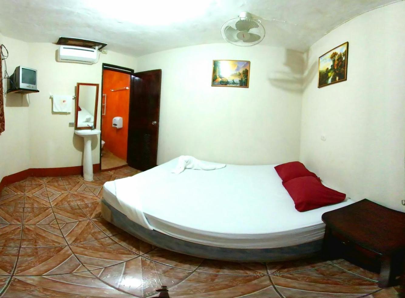 Superior Double Room photo 3