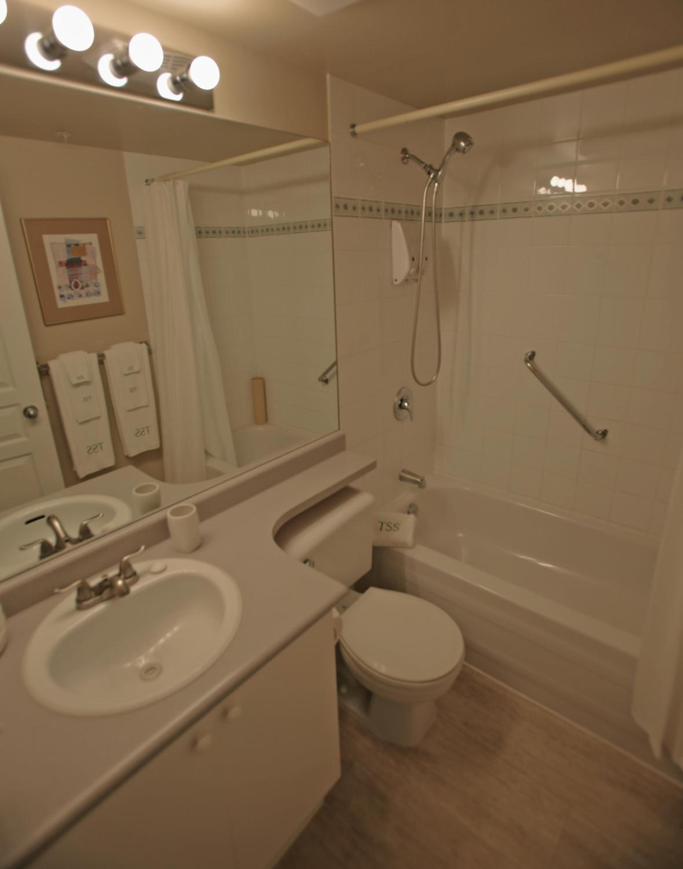 Large Two Bedroom photo 2