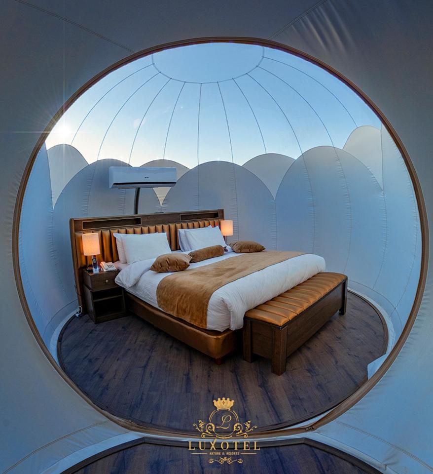 Bubble Suite King - Photo 14