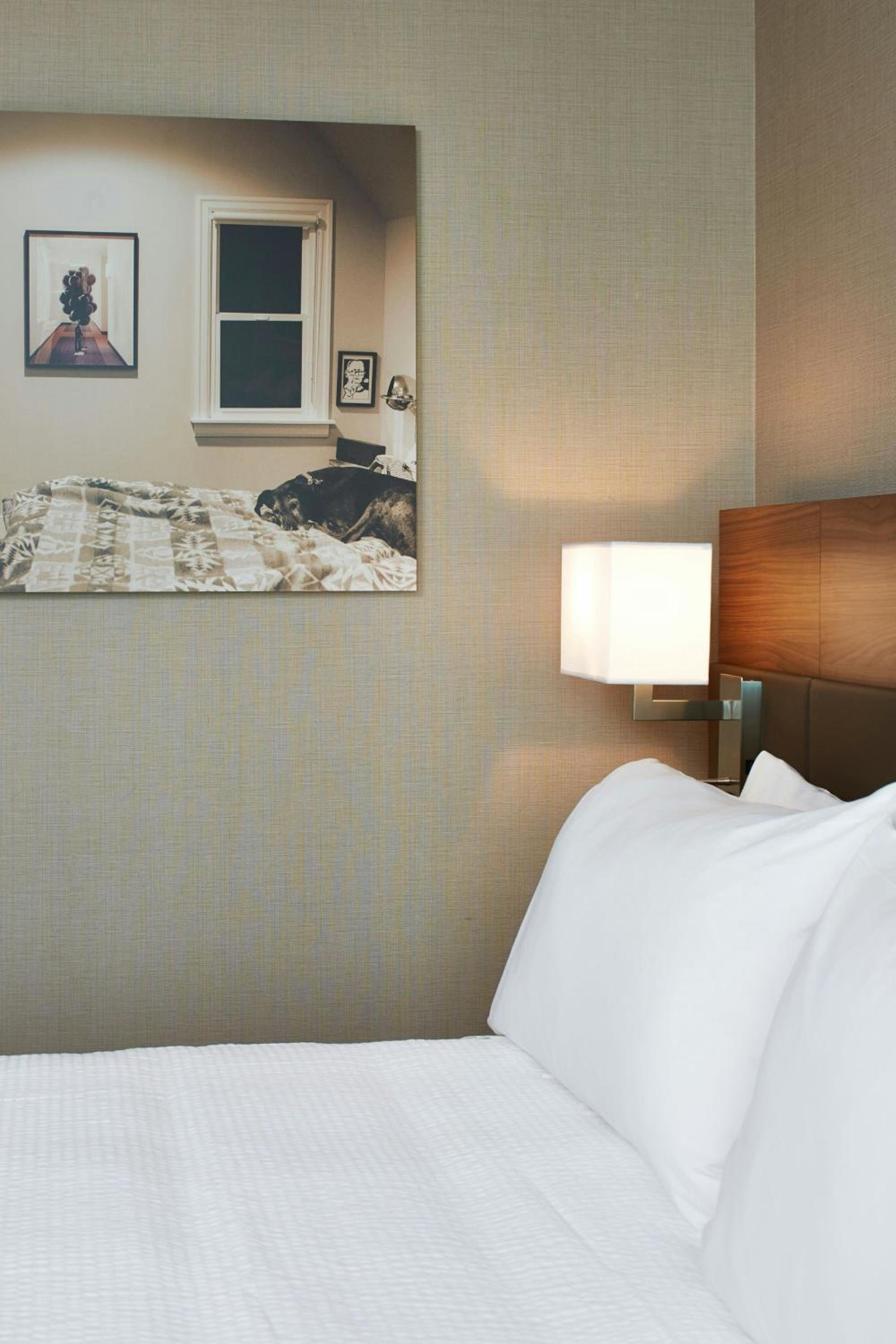 AC Hotel by Marriott Seattle Bellevue/Downtown, Foto 5