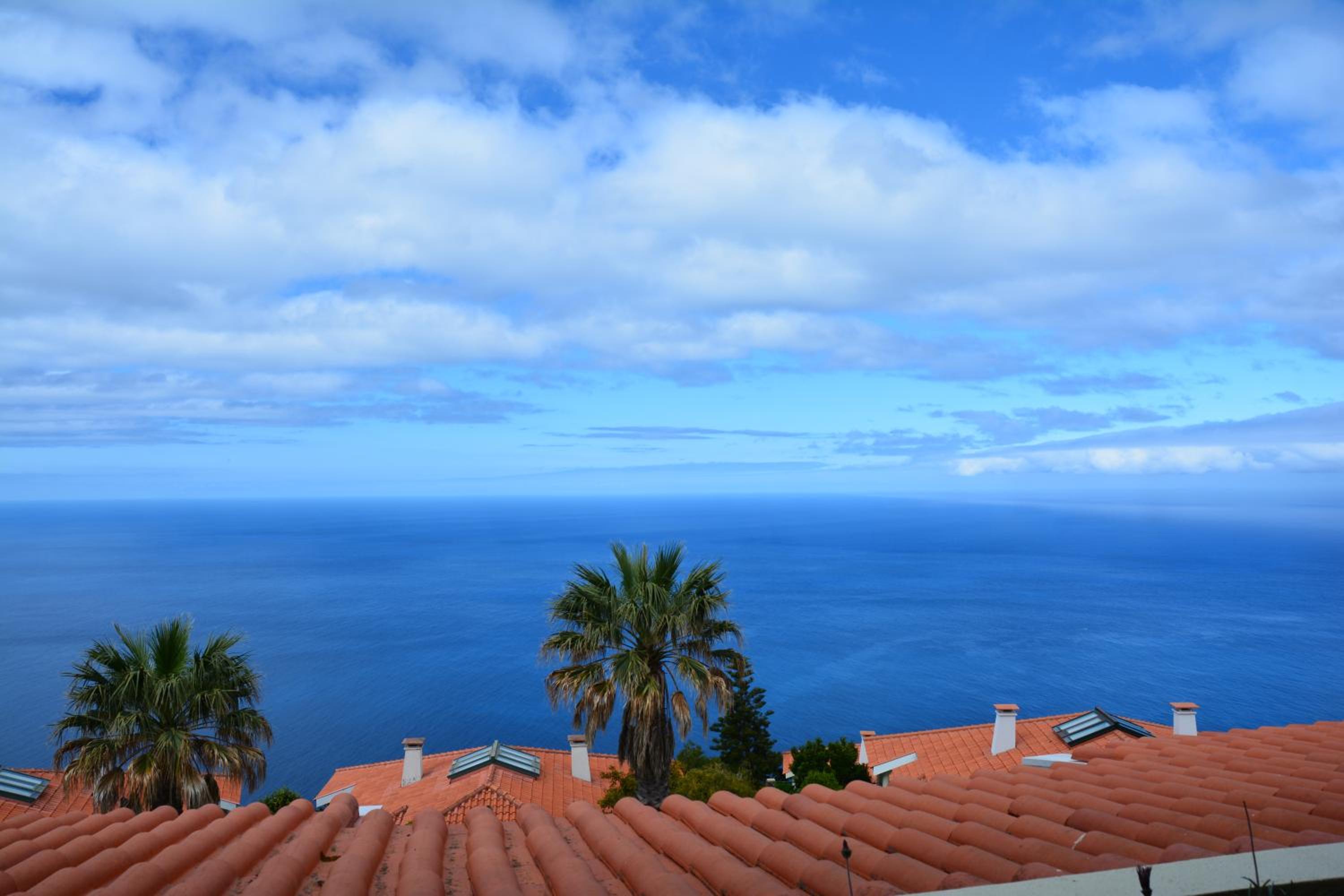 Studio With Sea View photo 3