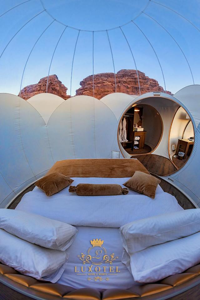 Bubble Suite King - Photo 13