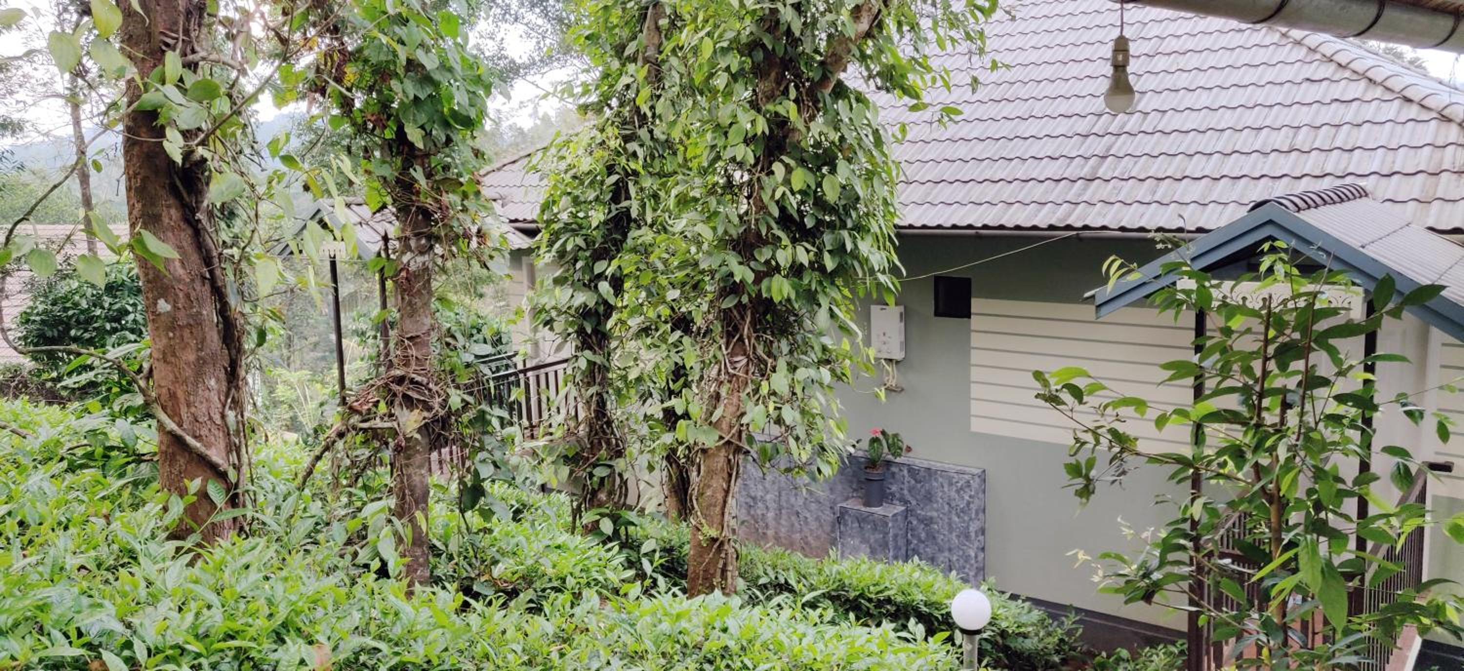 One-Bedroom House photo 2