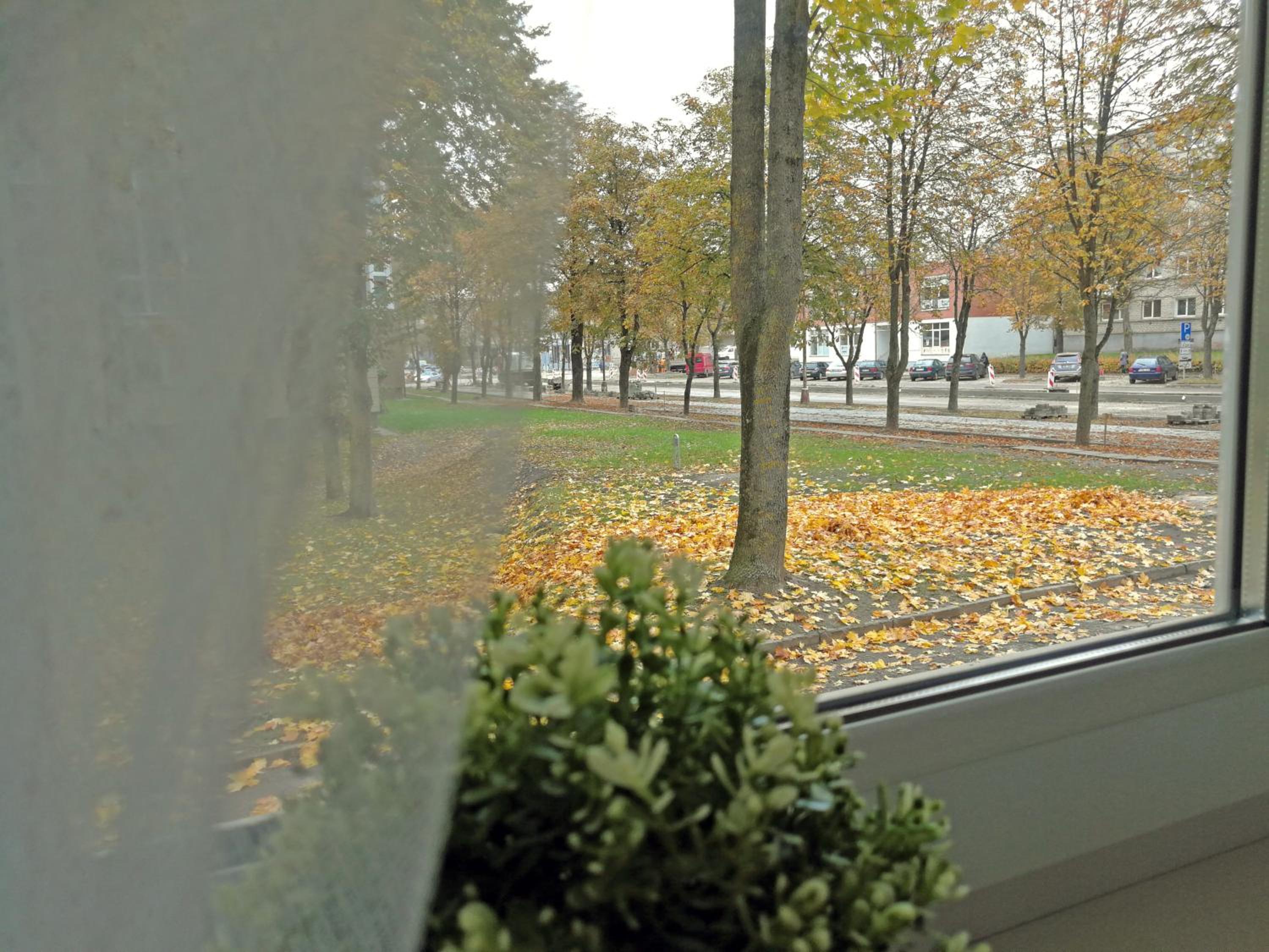 Apartment - Ground Floor - Photo 4