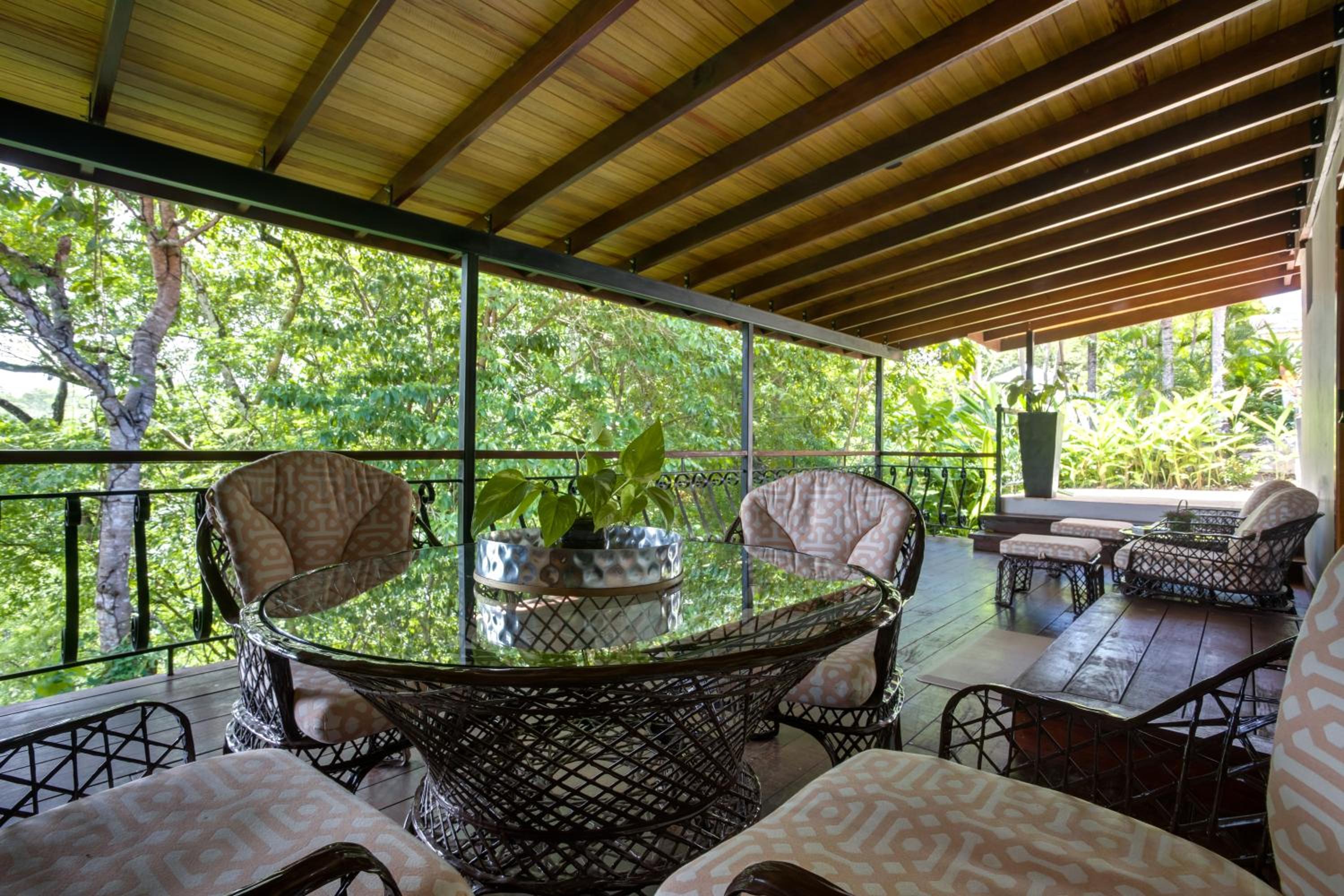 Jungle View Suite  photo 2