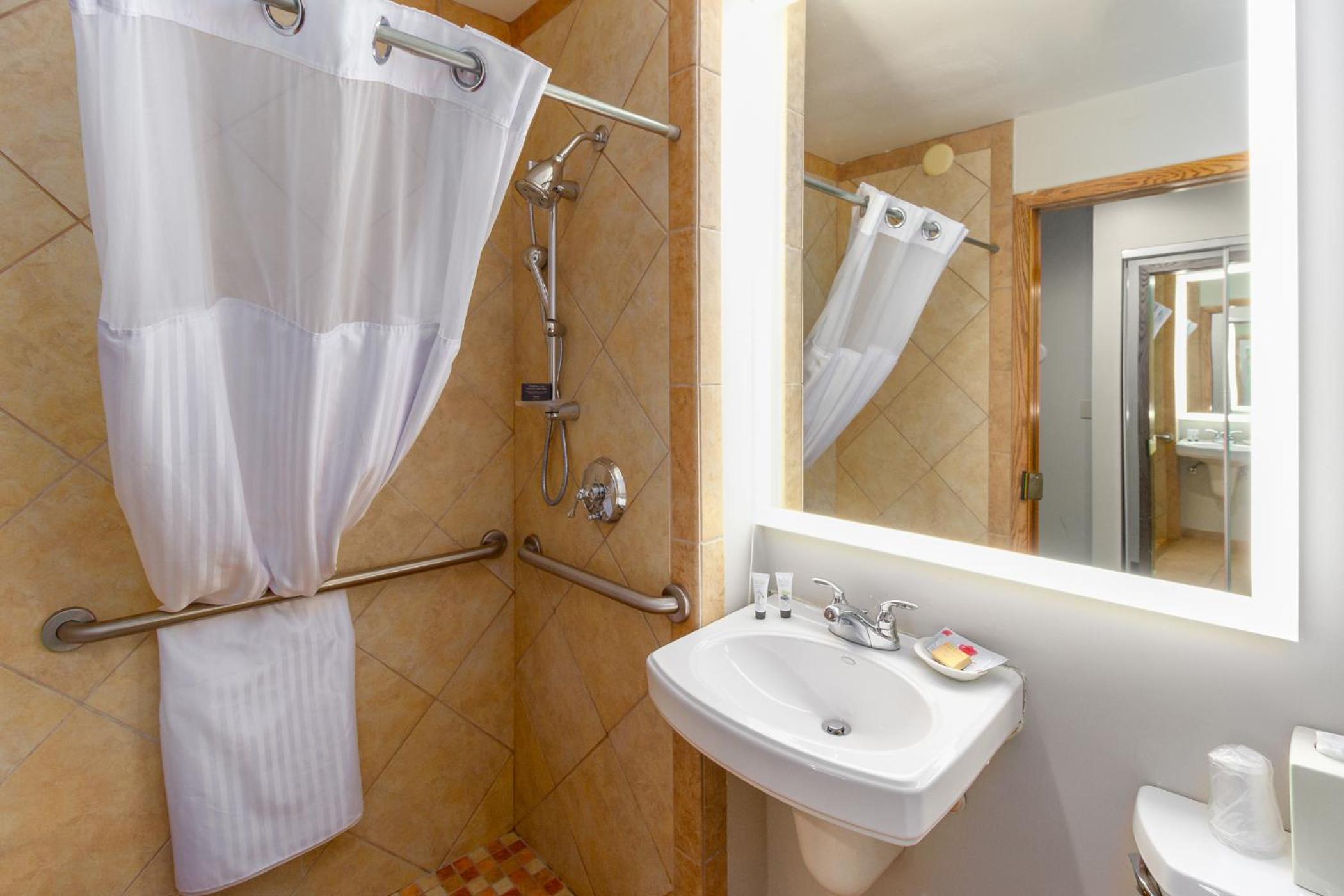 King Room with Roll-In Shower - Disability Access - Photo 4