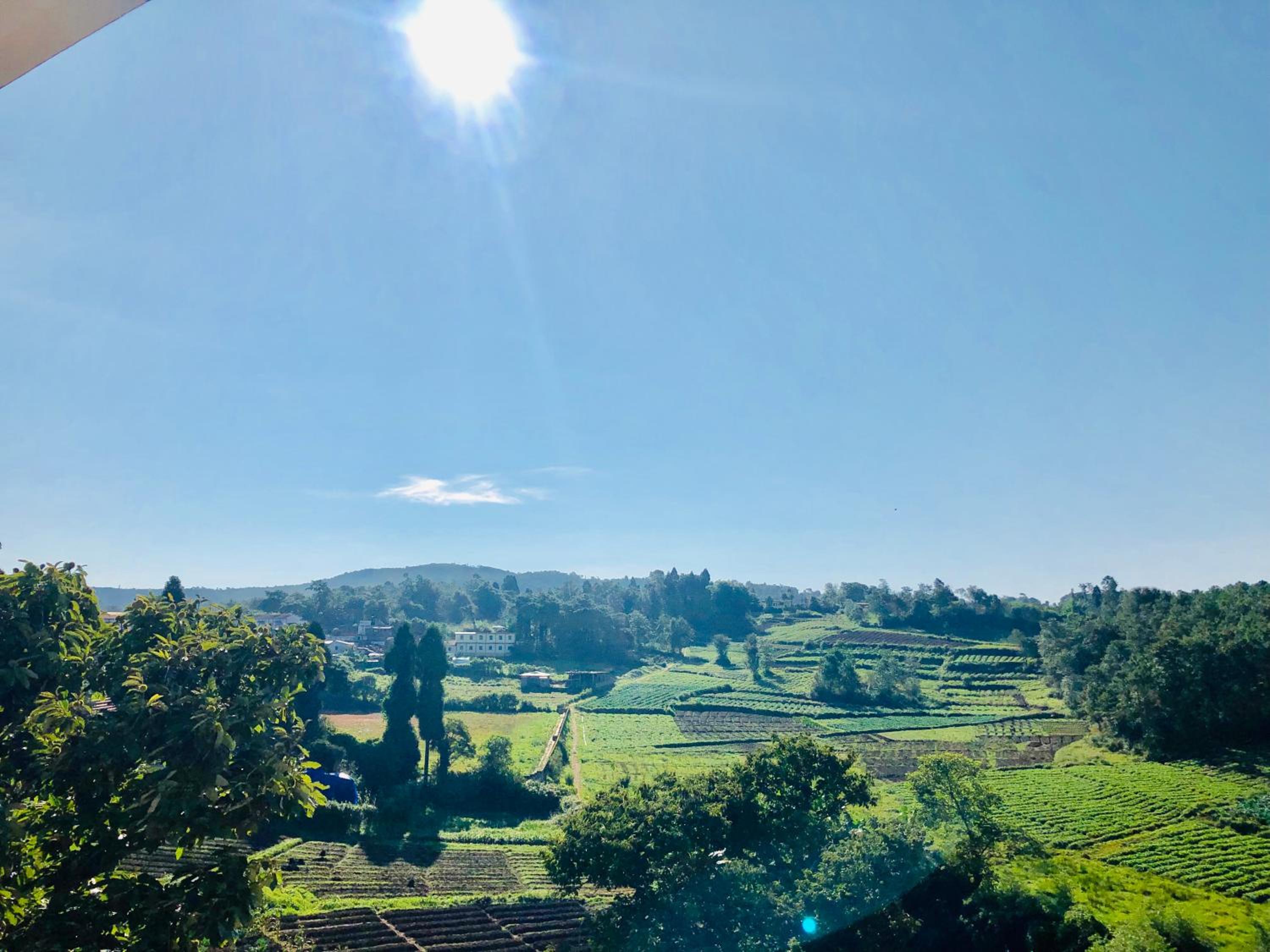 Deluxe Triple Room photo 3