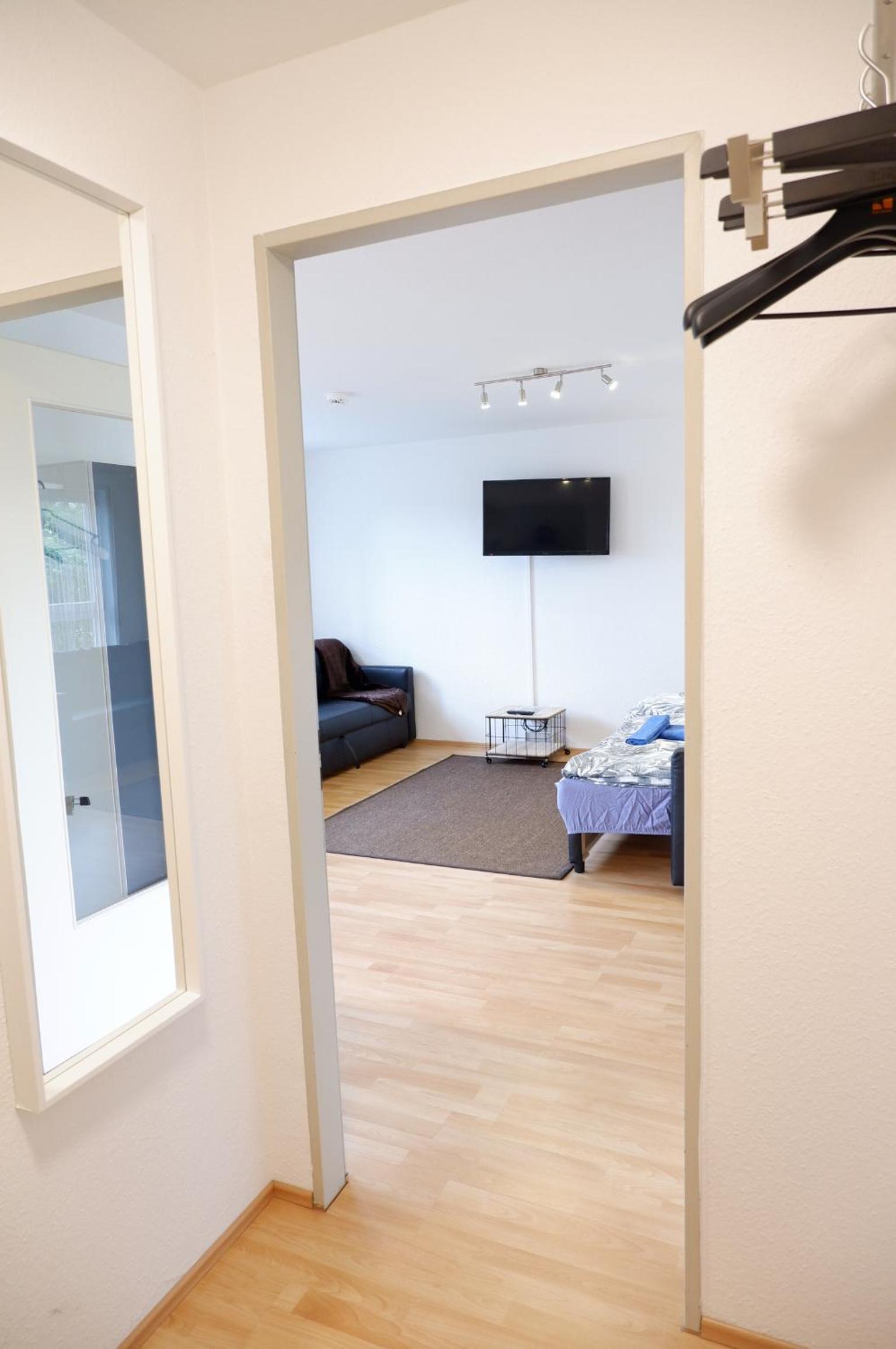 One-Bedroom Apartment photo 3