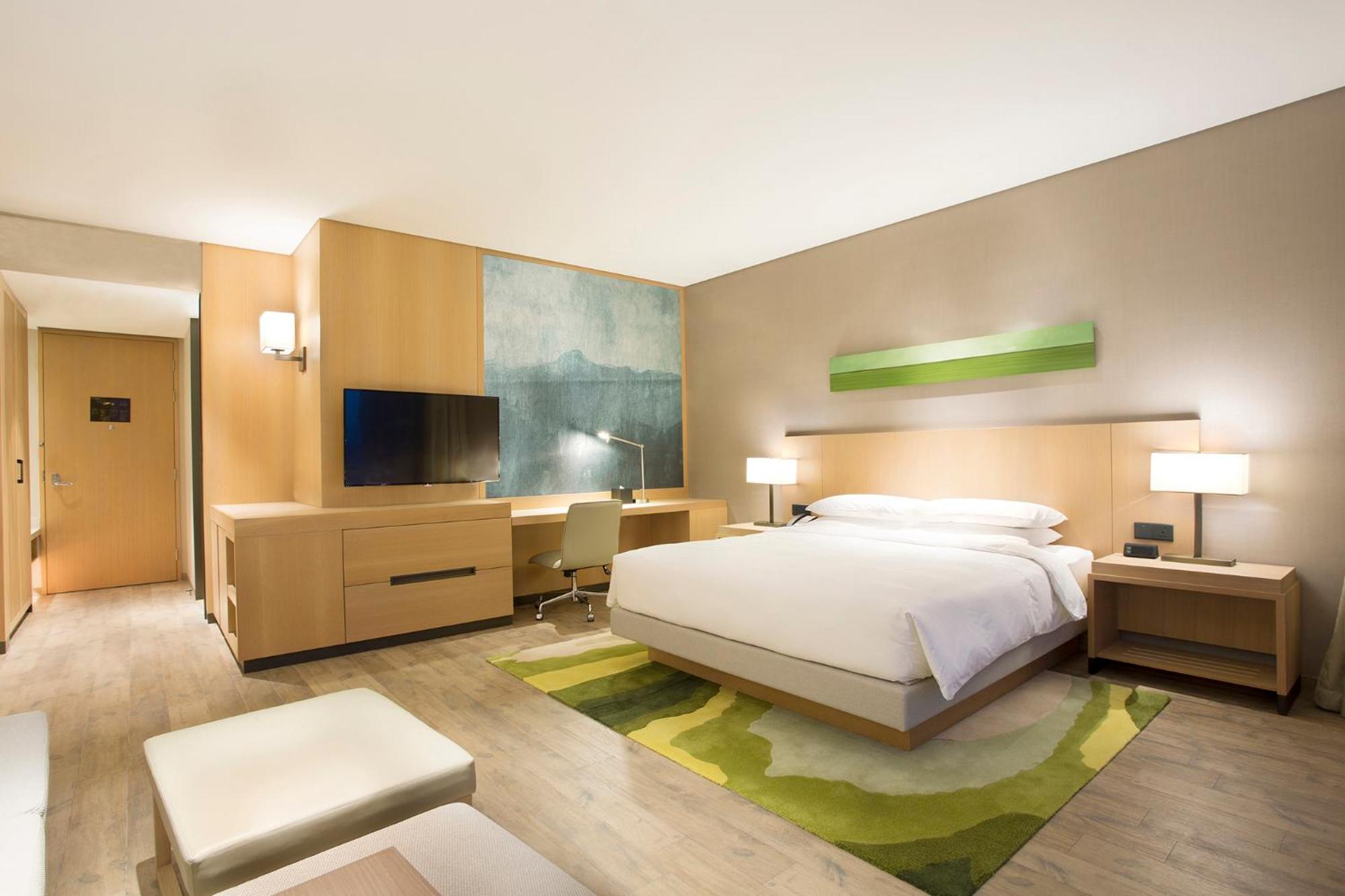Specialty King Room with Sofa Bed photo 1