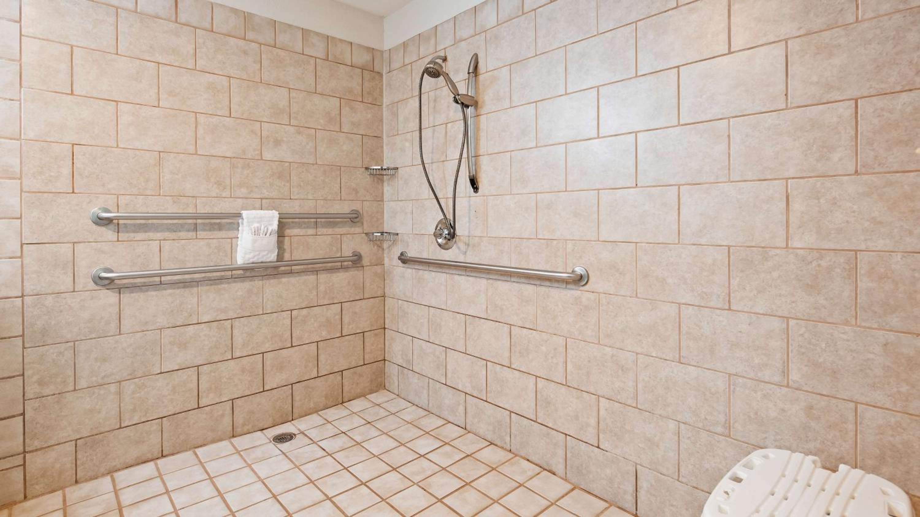 King Room with Roll-In Shower - Mobility Accessible/Pet Friendly - Photo 2