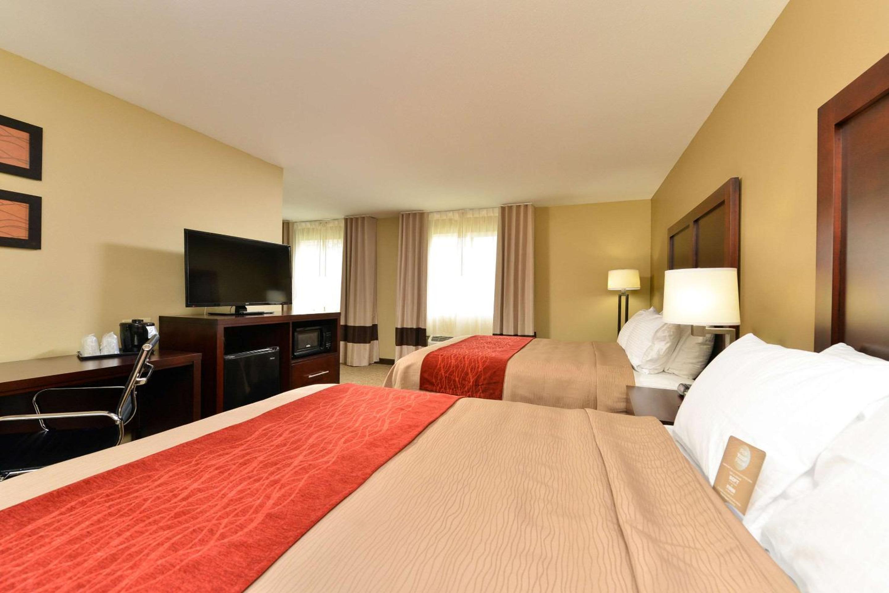 One-Bedroom Queen Suite With Sofa Bed photo 3