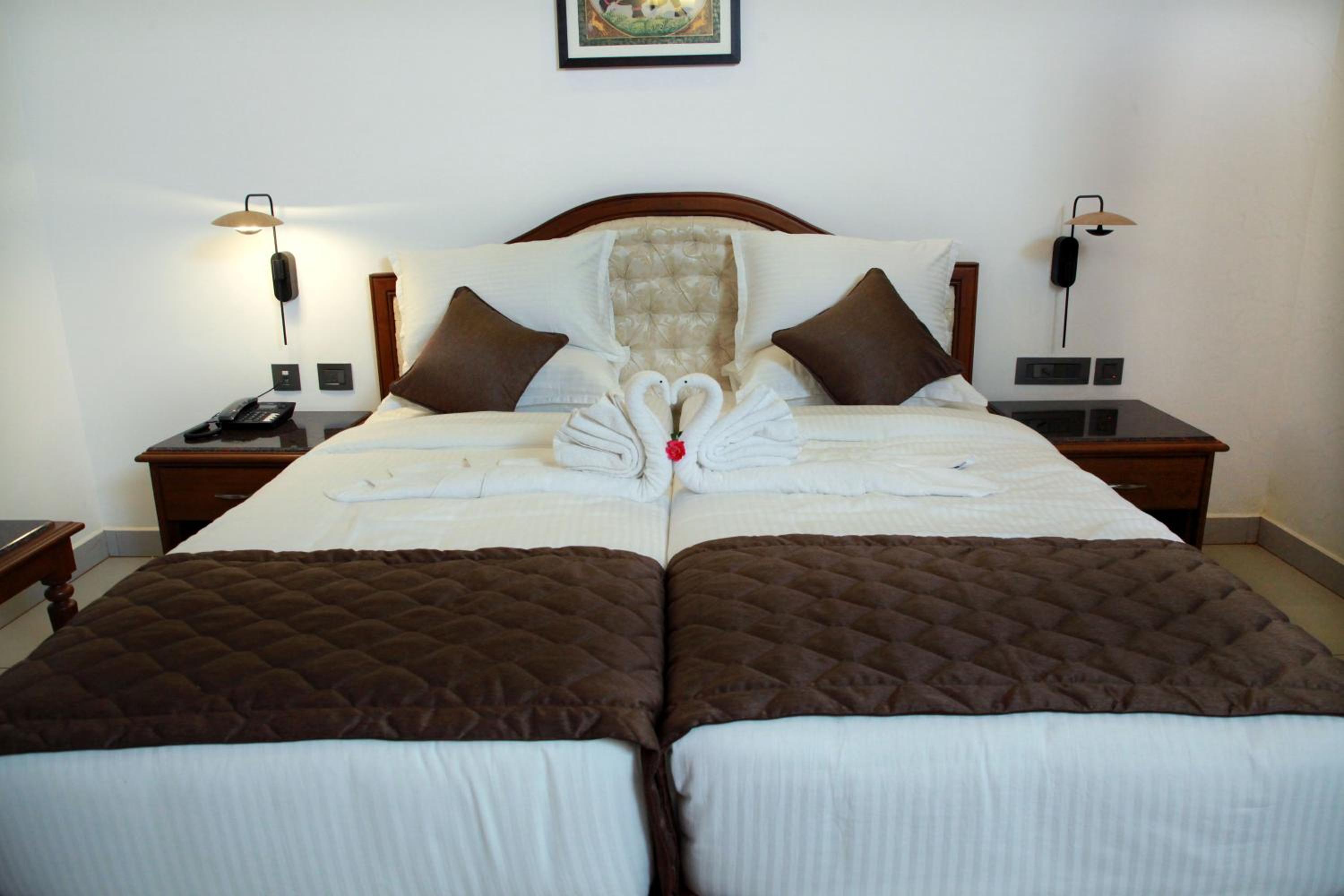 Suite - Photo 1