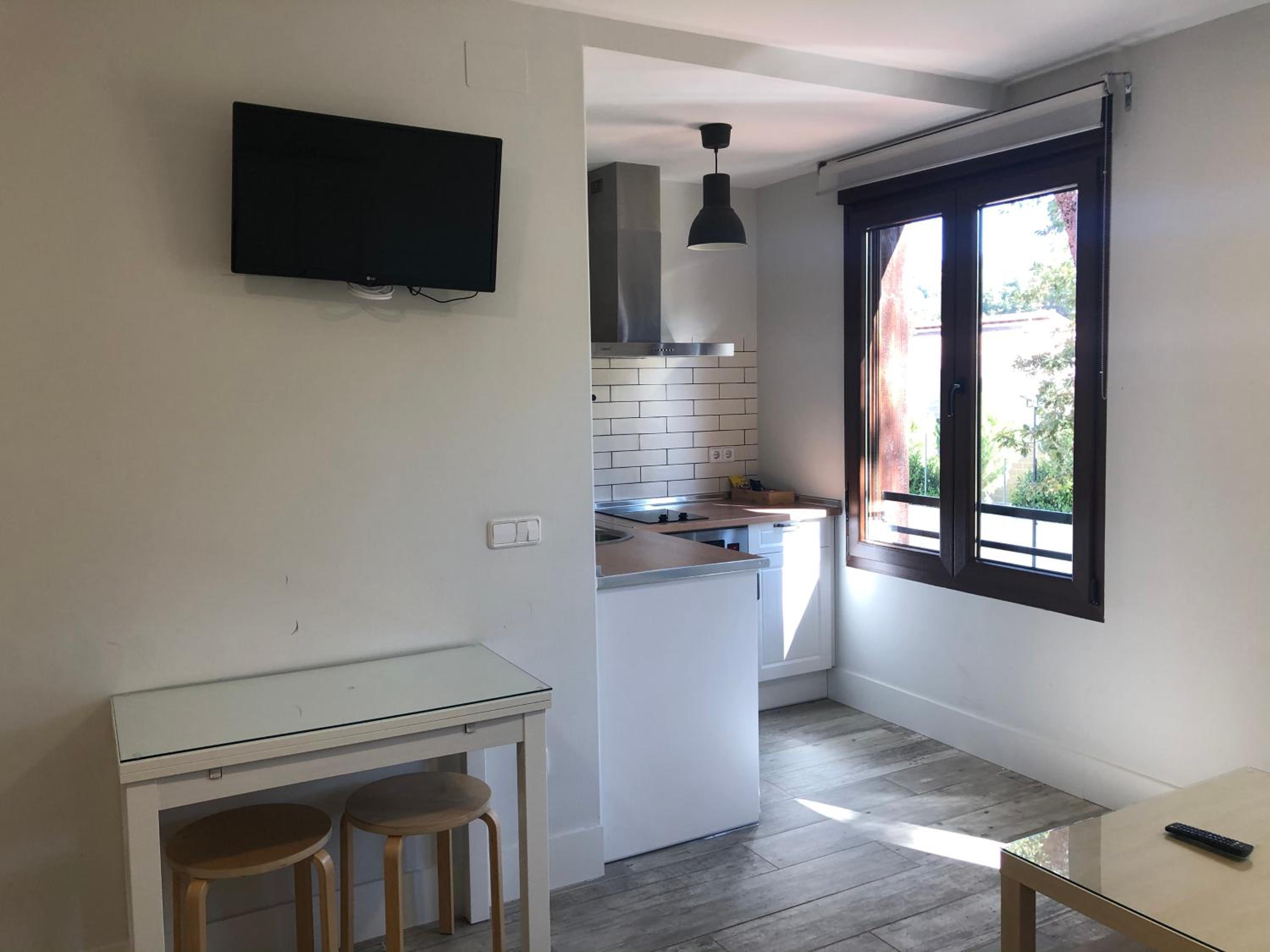 Studio Apartment photo 3