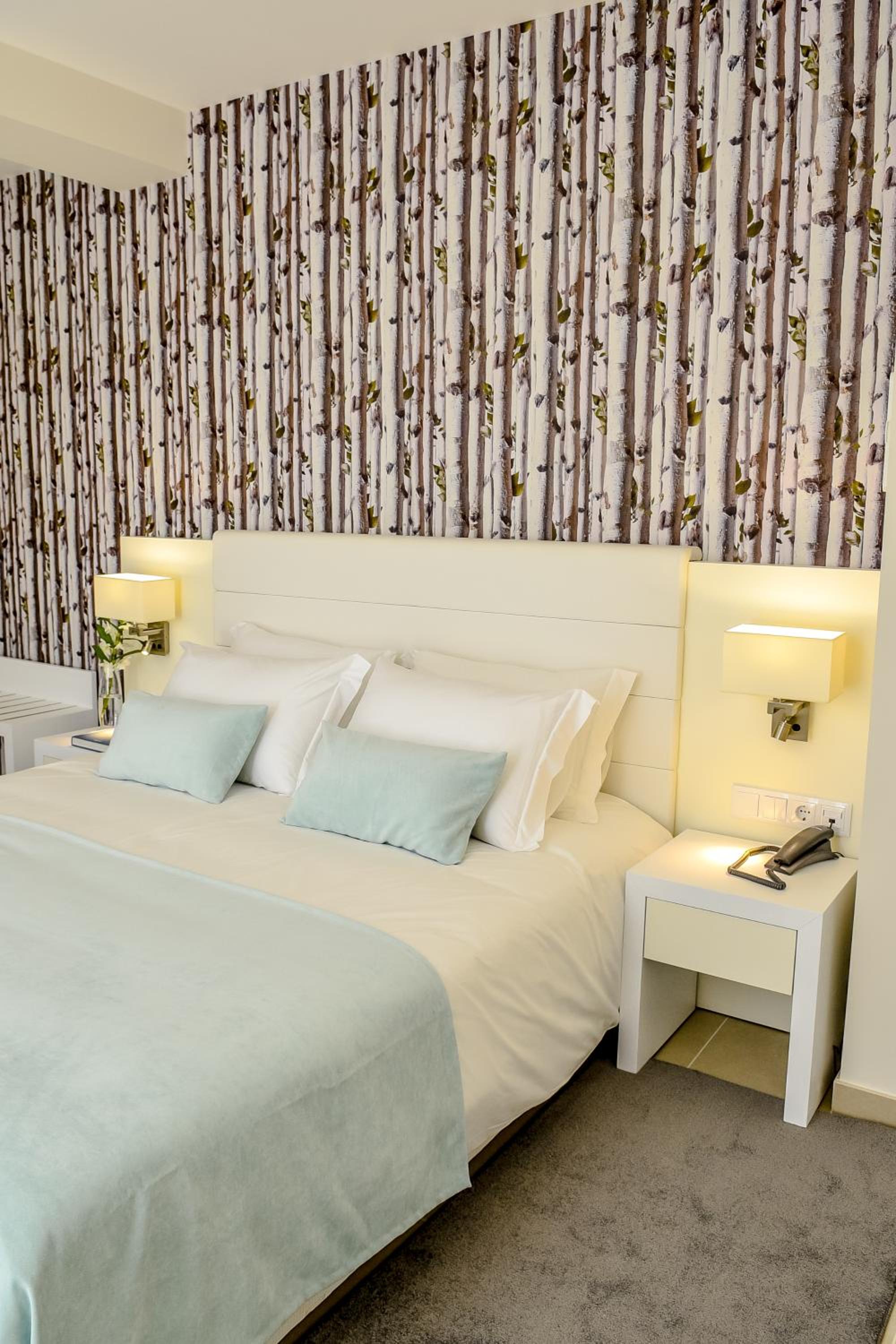 Large Double or Twin Room photo 1