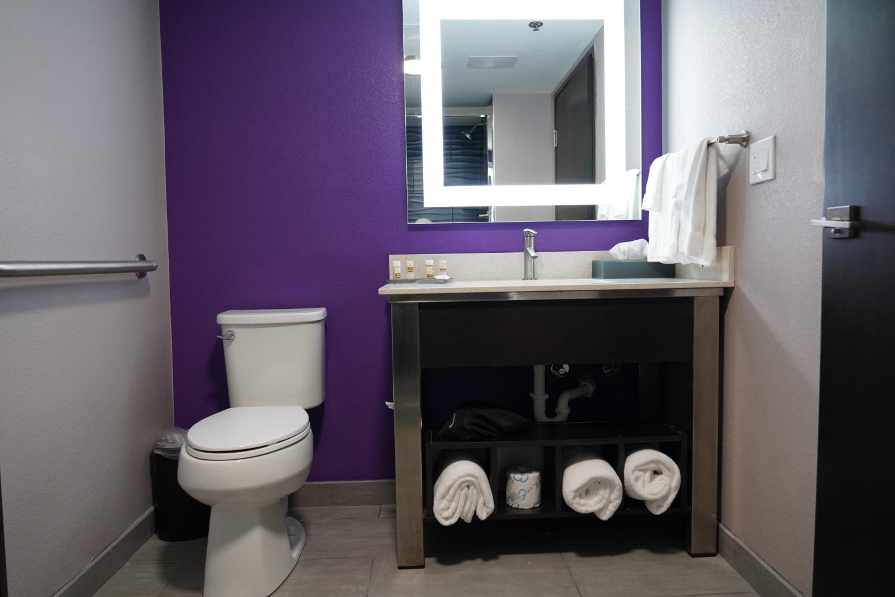 King Studio Suite - Mobility Access/Non-Smoking - Photo 3