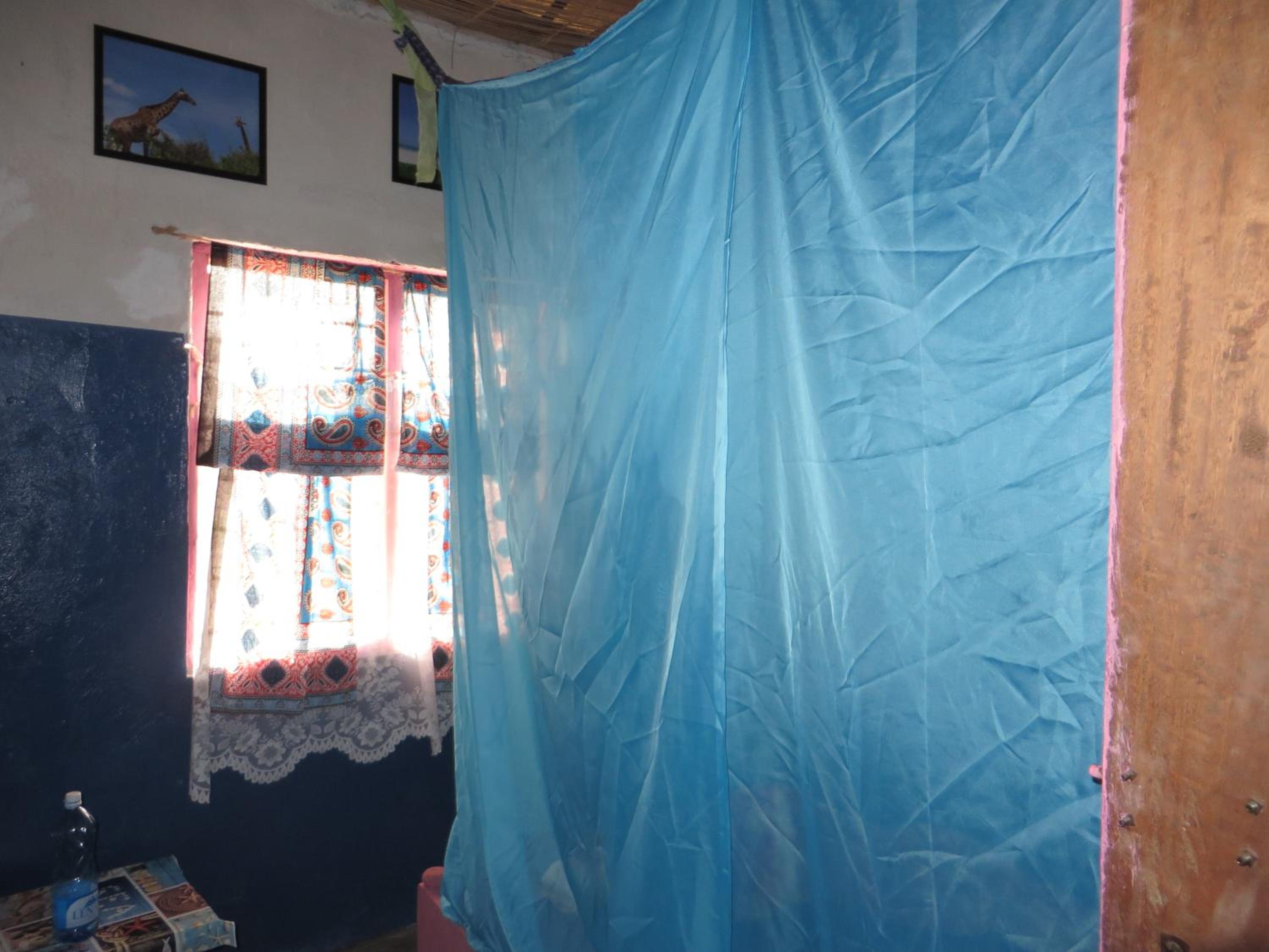 Double or Twin Room photo 1
