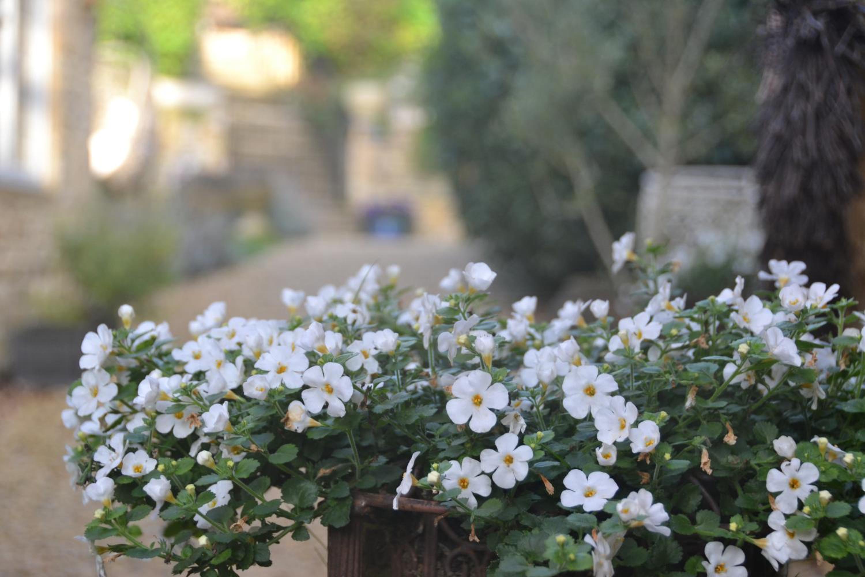 Apartment with Garden View - Photo 10