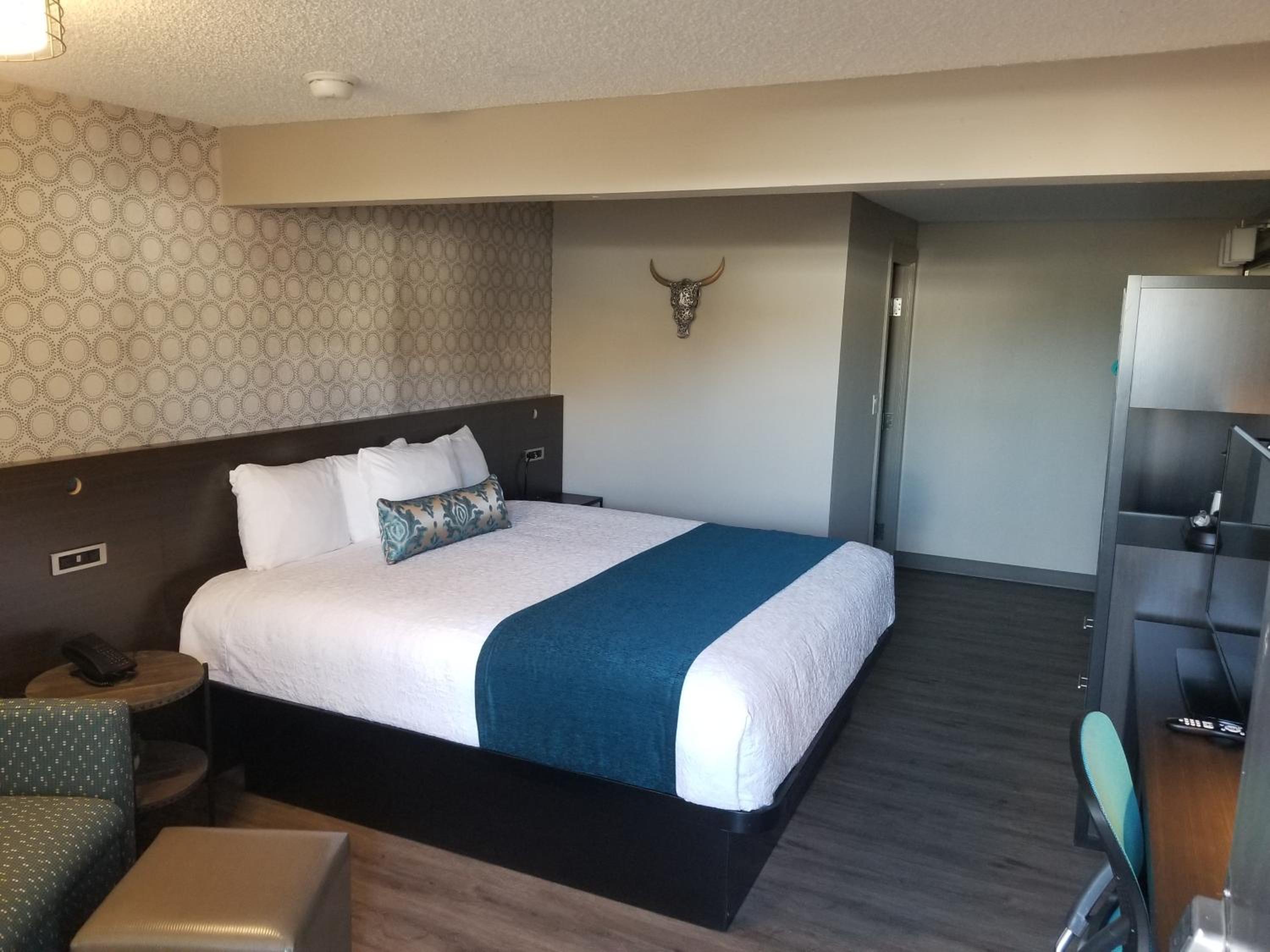 King Room photo 2