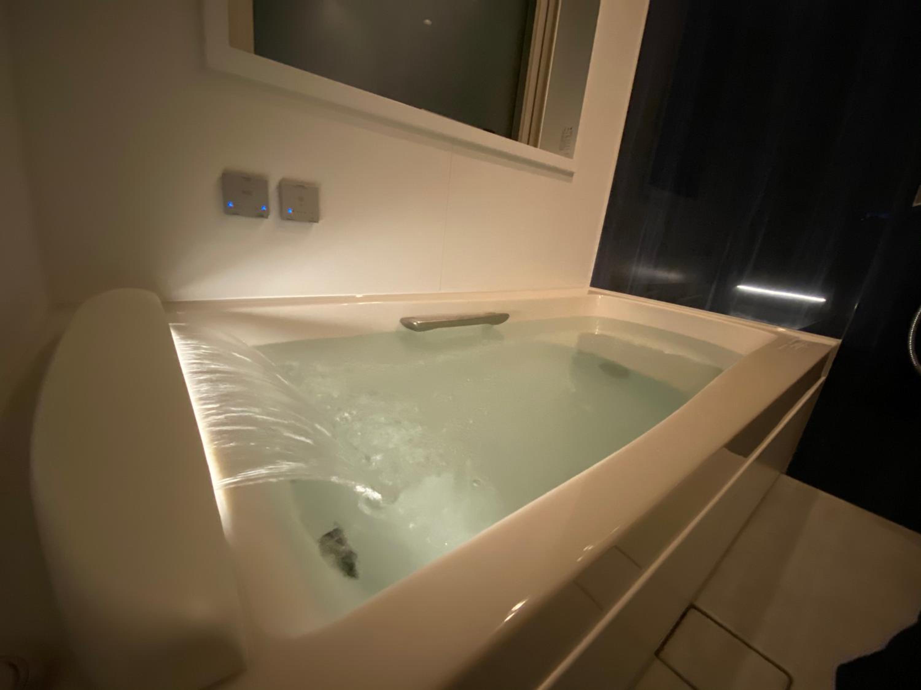 Deluxe Room - Photo 11