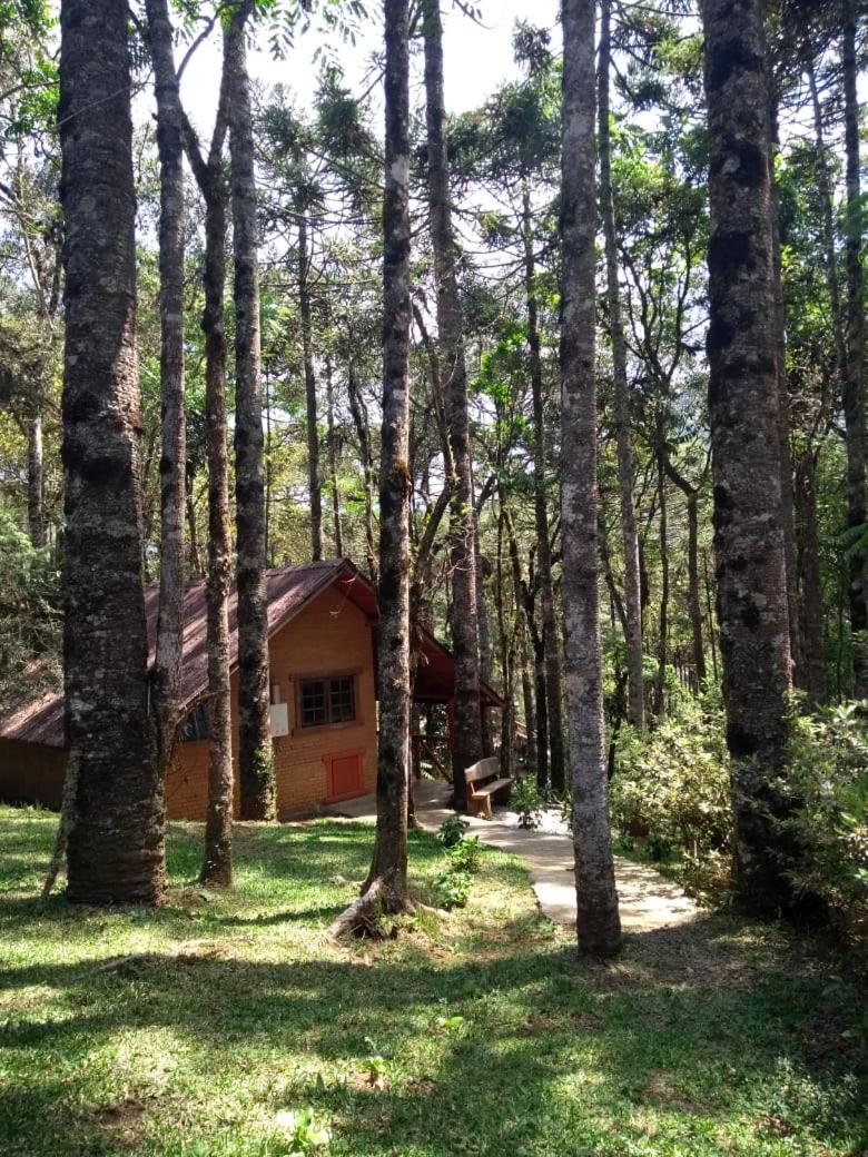 One-Bedroom Chalet photo 2