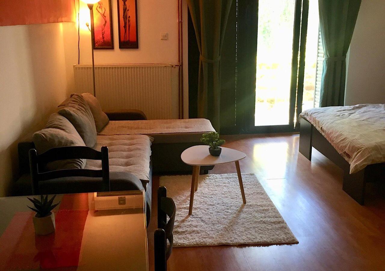 One-Bedroom Apartment photo 3