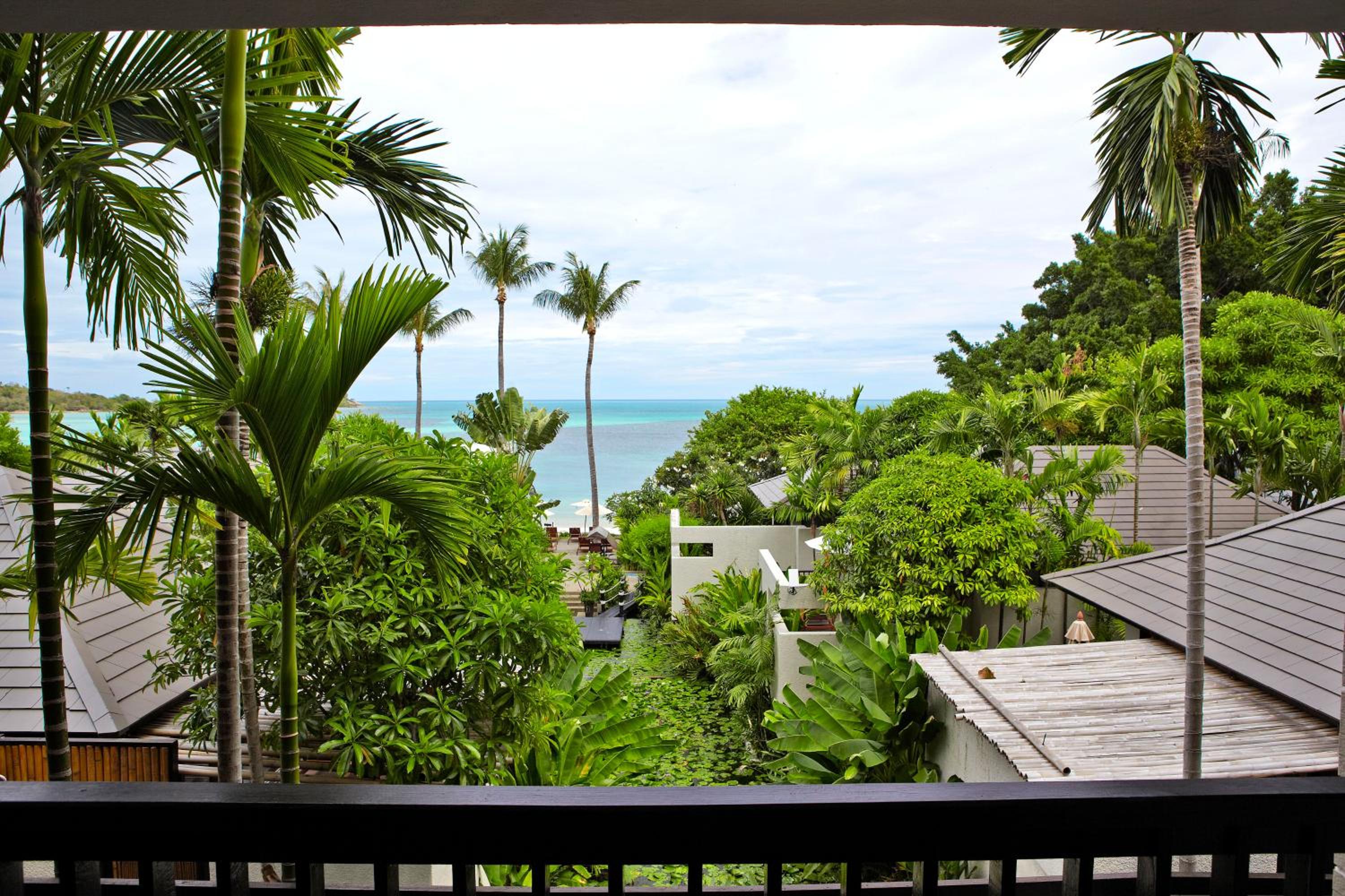 Luxury Suite - Photo 8