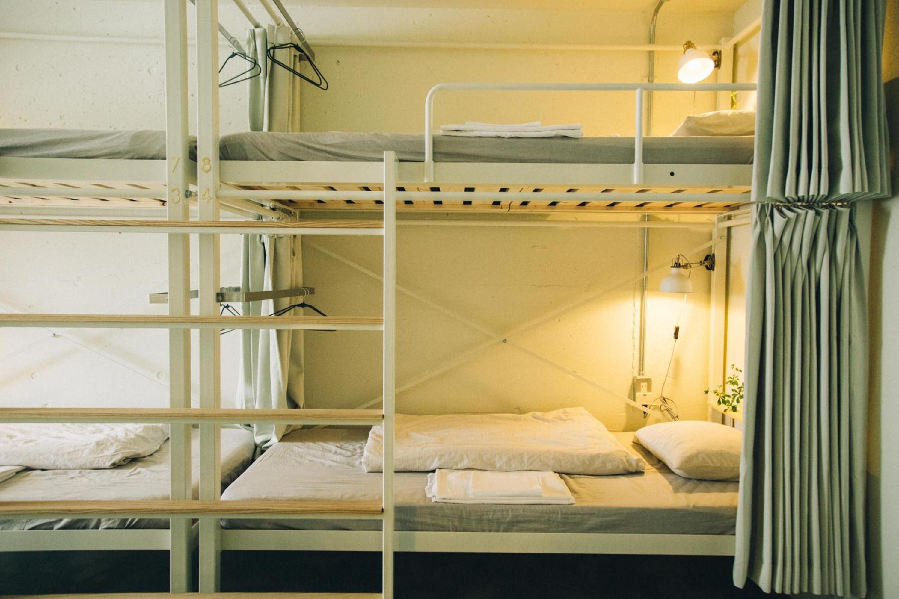 Bunk Bed in Female Dormitory Room for 8 people photo 1