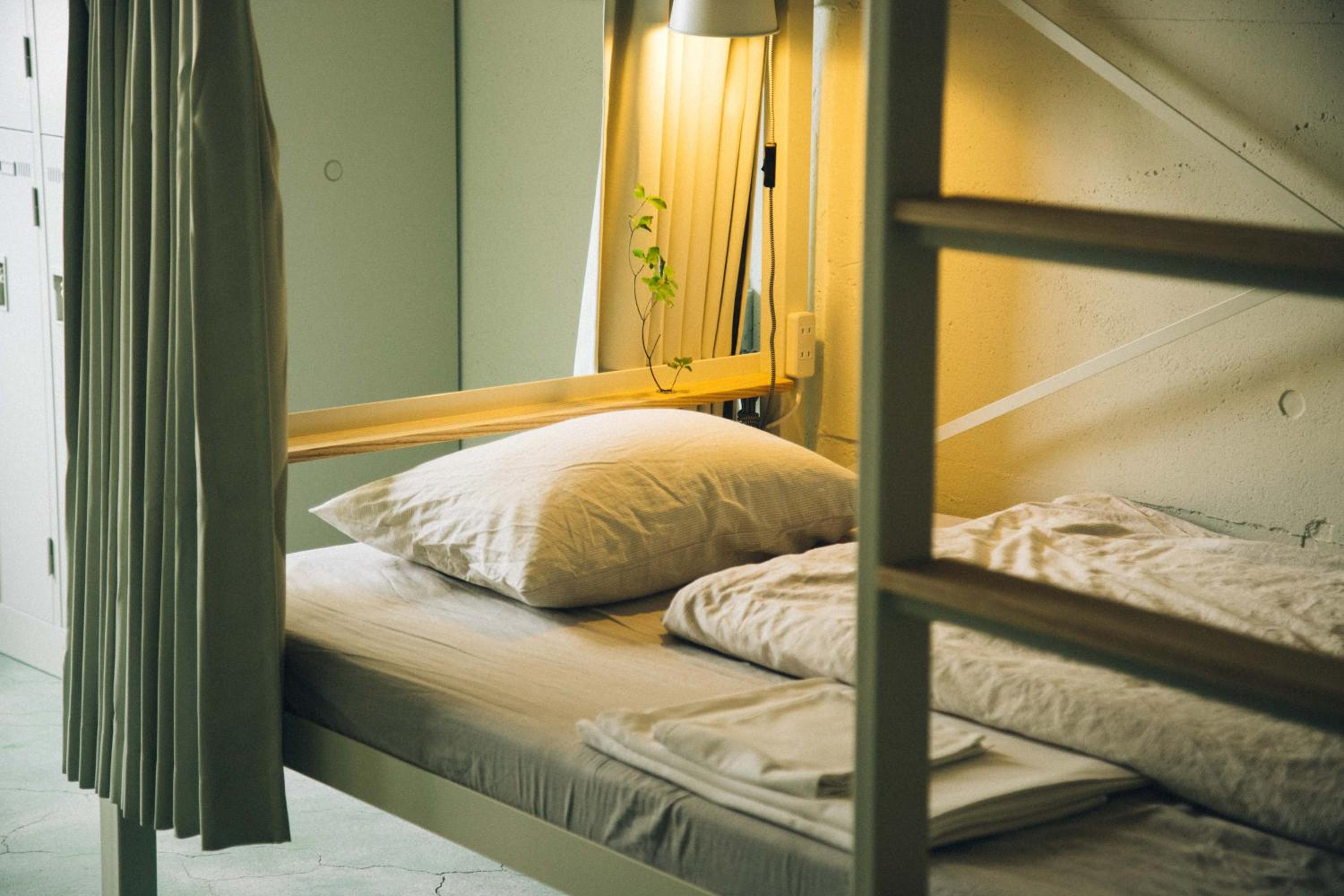 Bunk Bed in Female Dormitory Room for 8 people photo 2