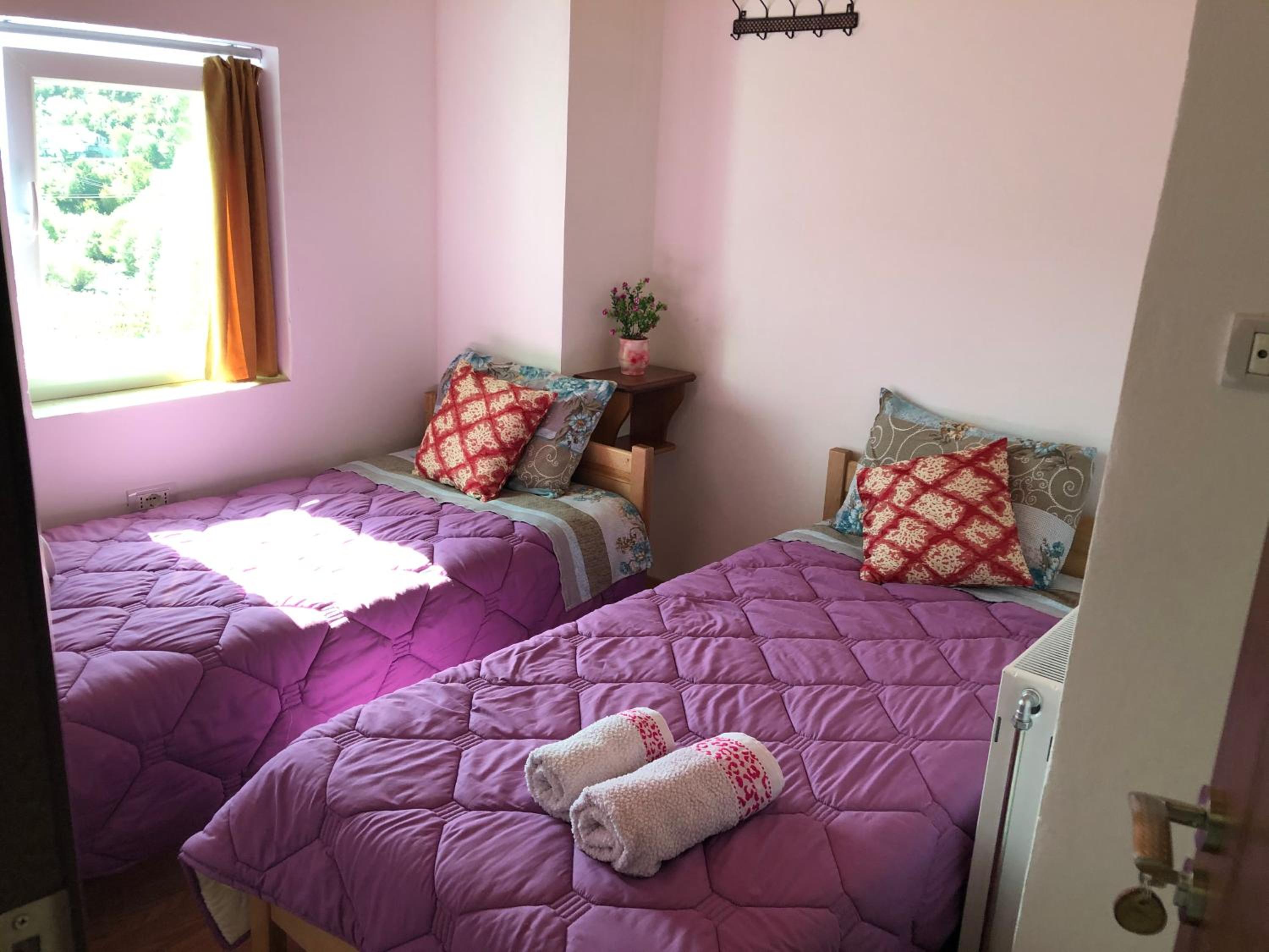 Twin Room photo 2