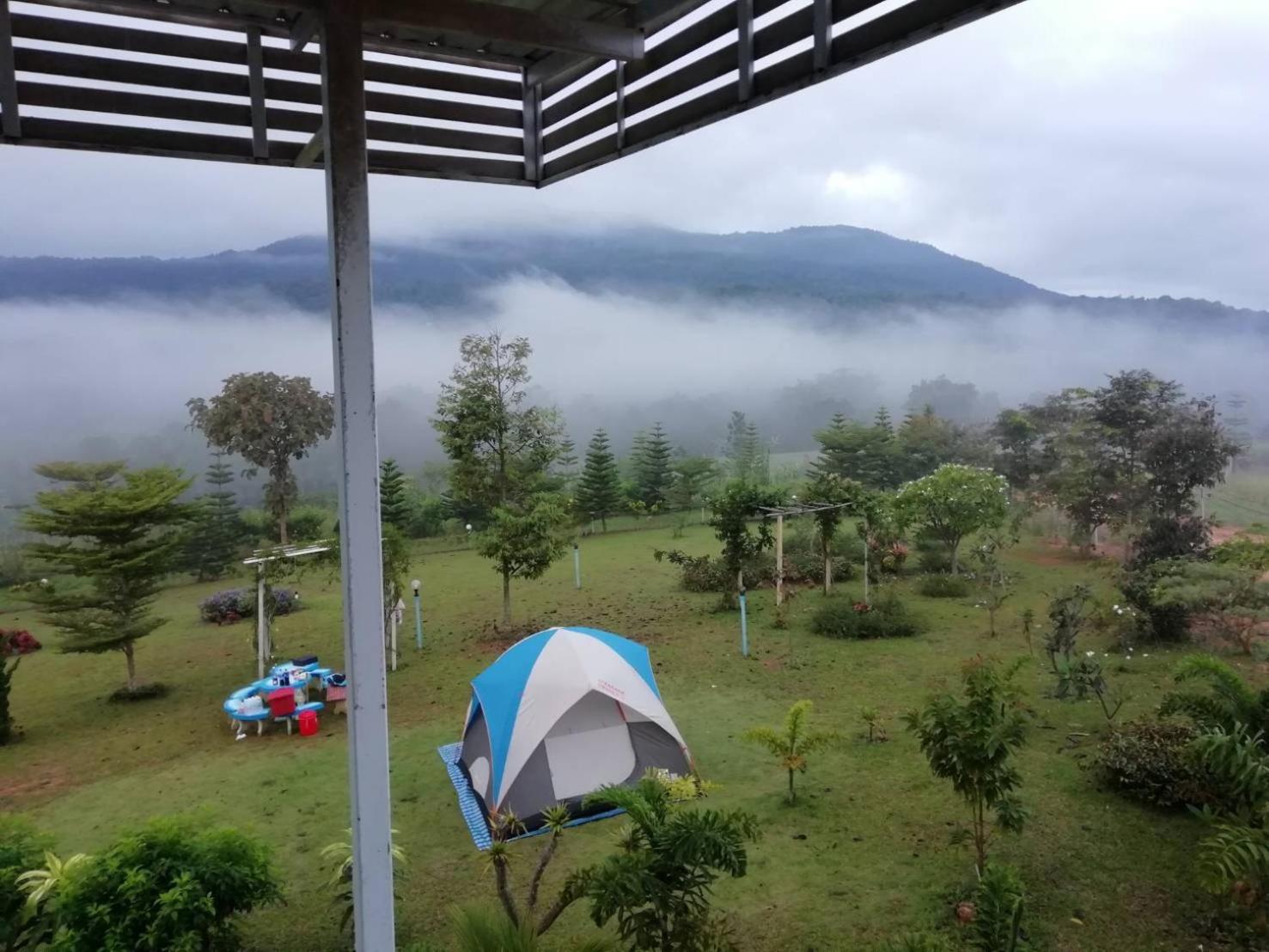Tent (4 Adults) photo 2