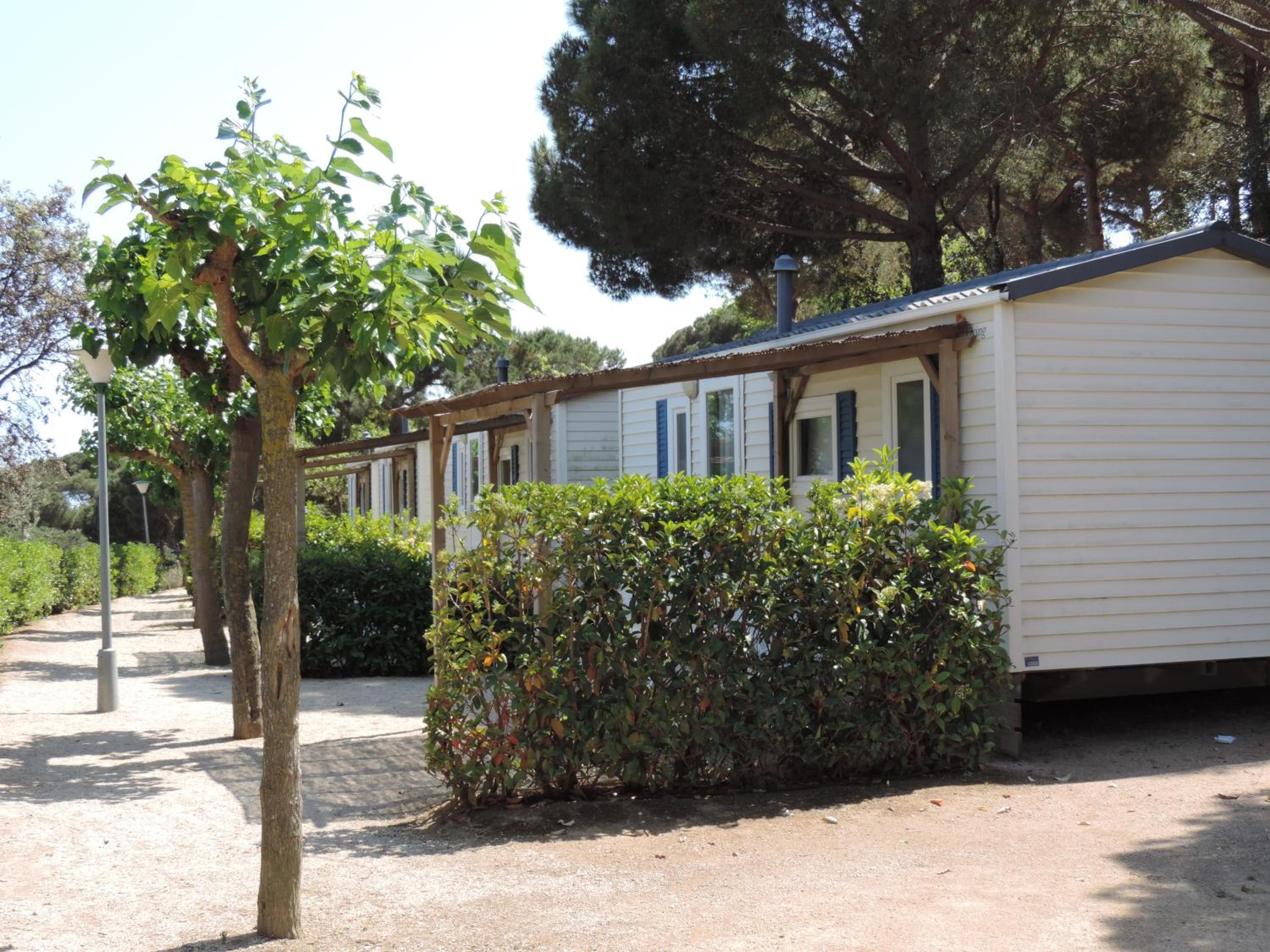 Mobile Home (Tahiti) photo 3